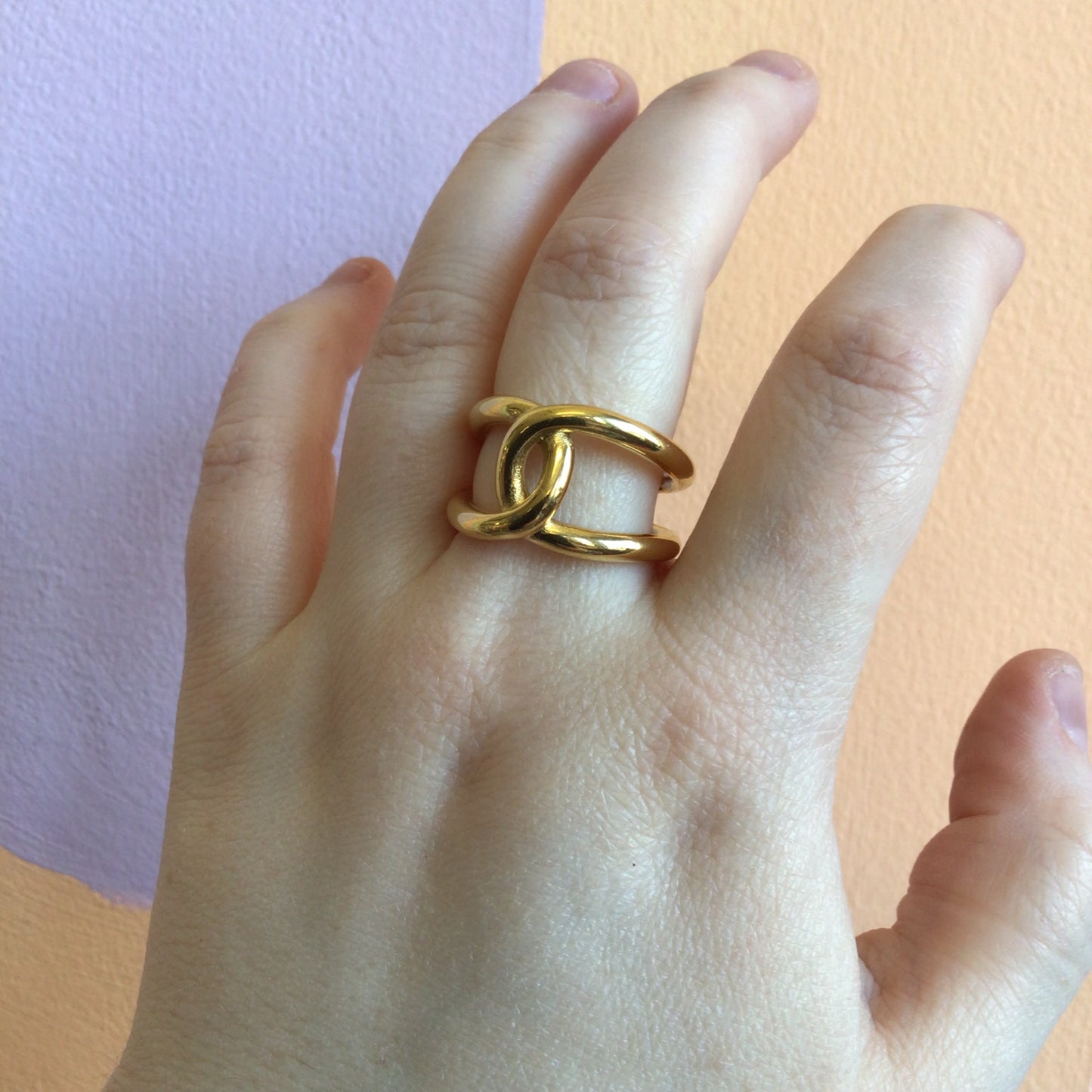 Double Horseshoe Titanium Ring