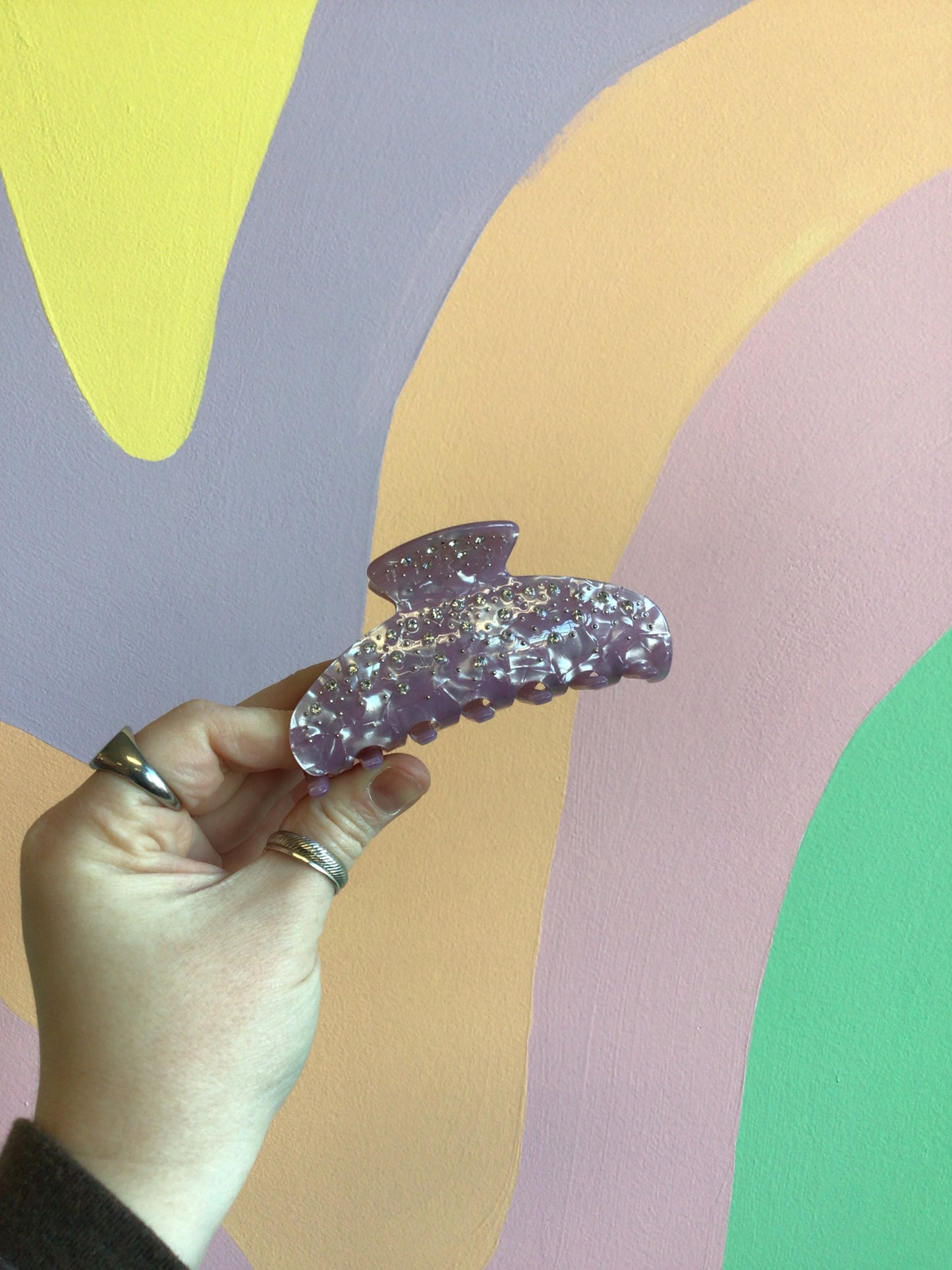 Bedazzled Hair Claws