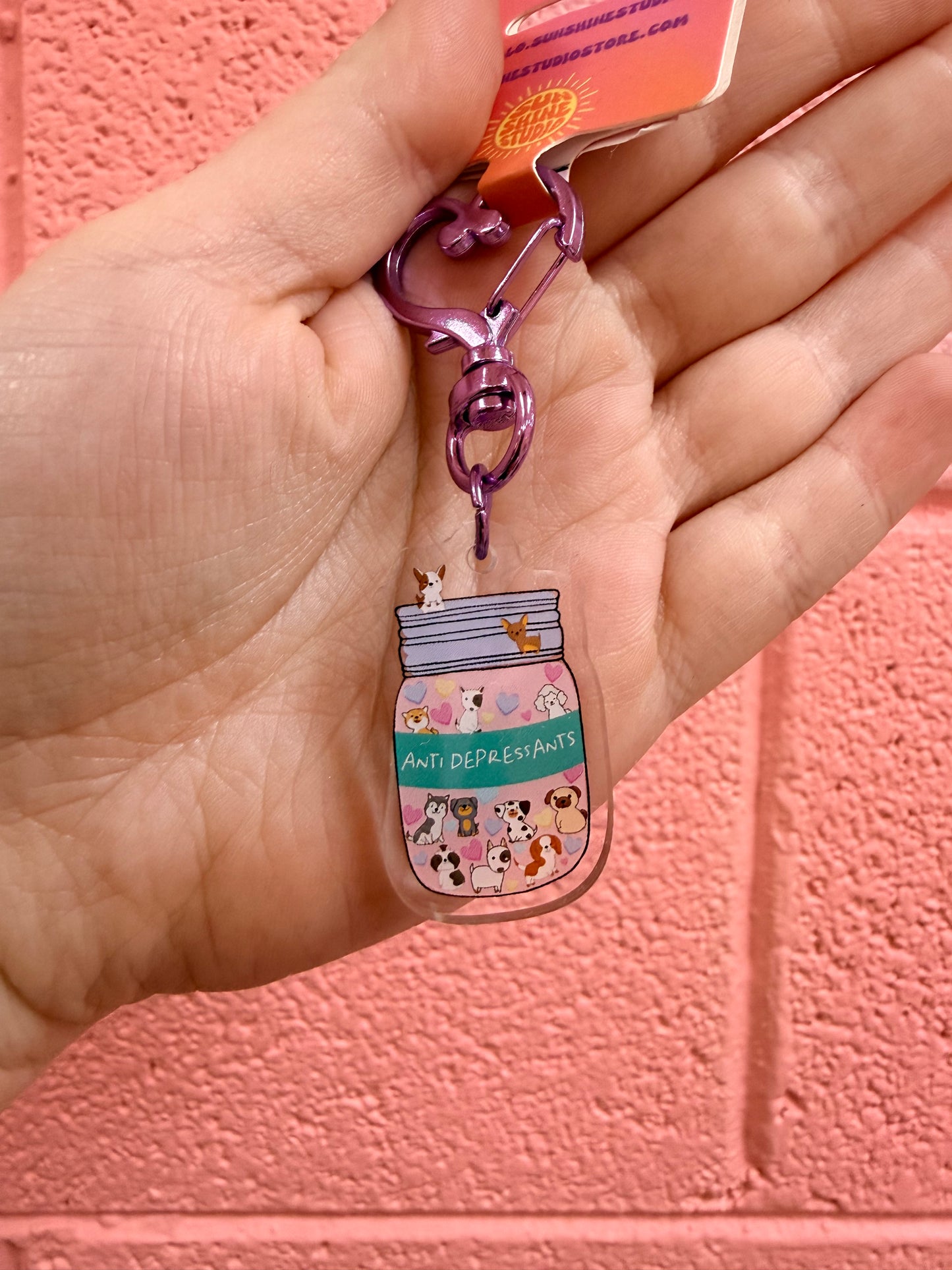 Colorful “Antidepressants” Keychain