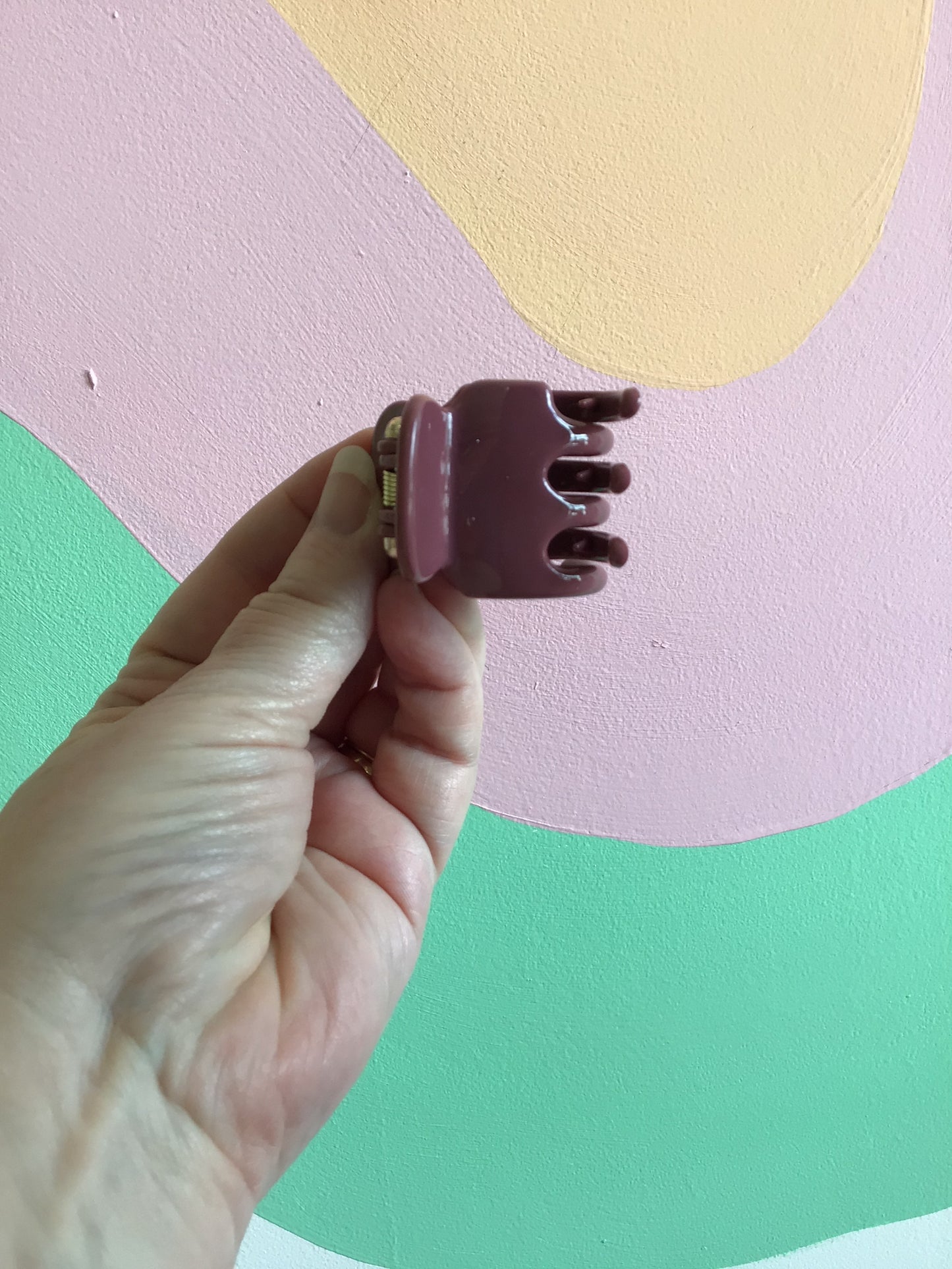 Warm Mini Hair Claws