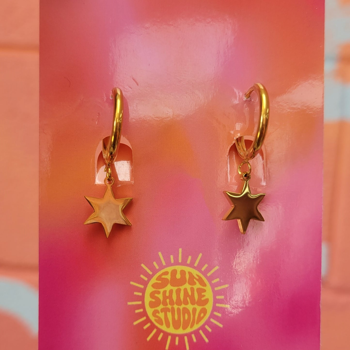 Where You Lead, I Will Follow - Titanium Star Earrings