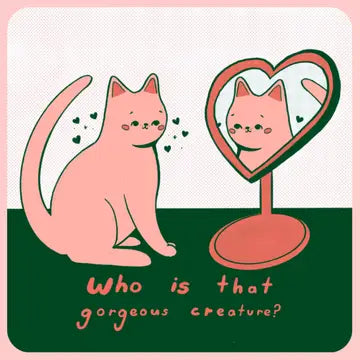 "Who is that gorgeous creature?" Sticker