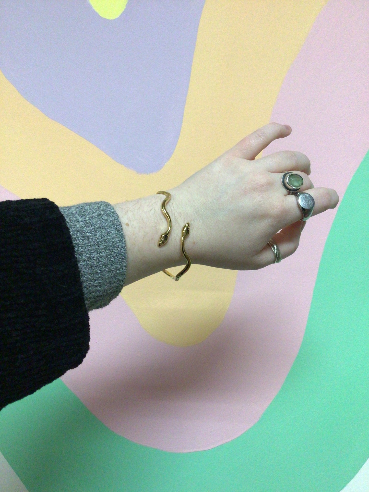 Titanium Serpent Bangle