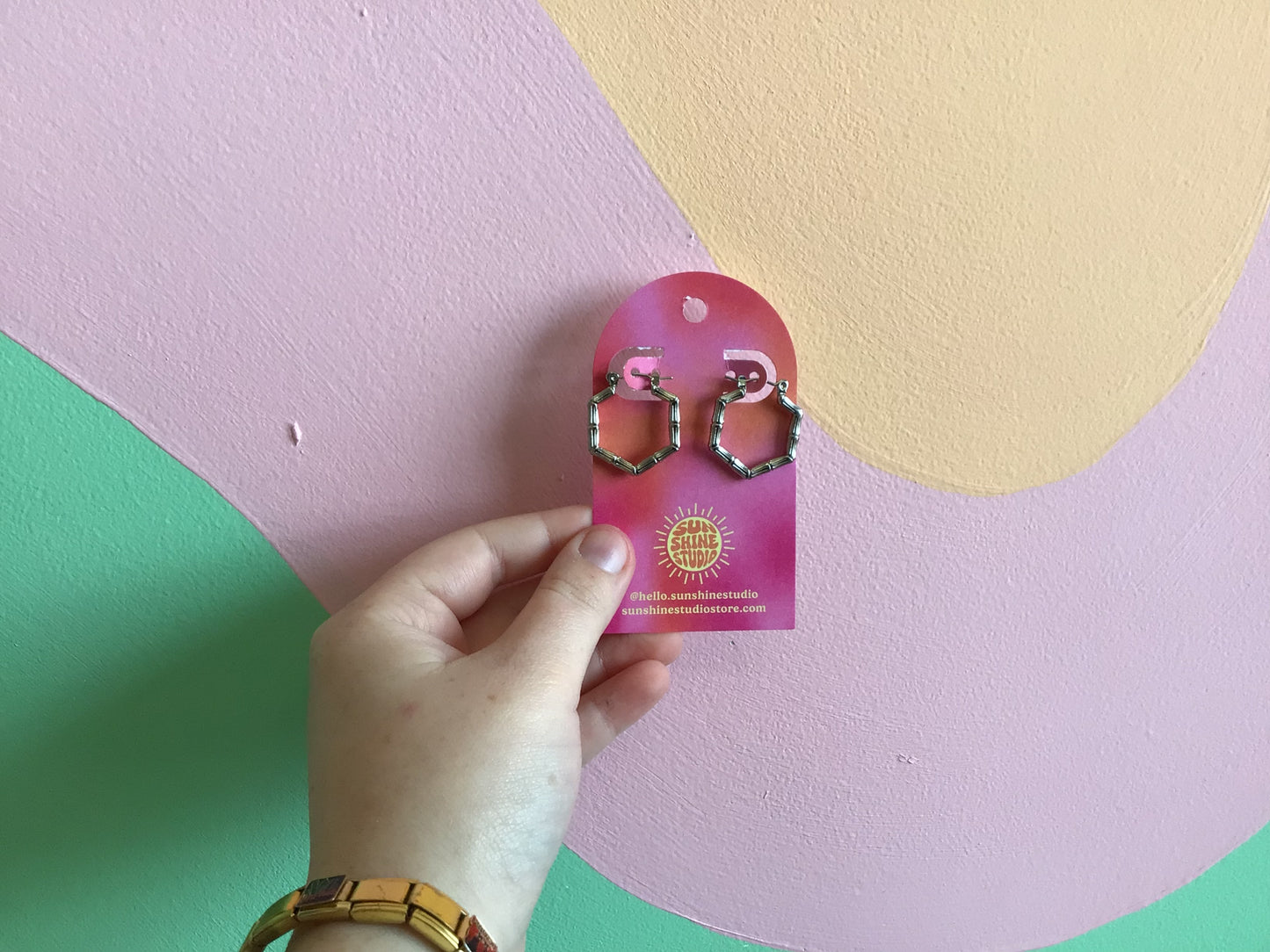 Today’s Special Stainless Steel Hoop Earrings