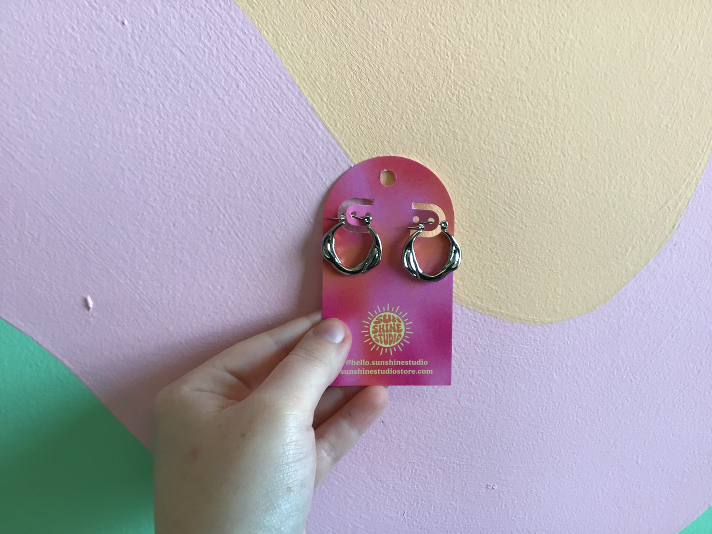 Today’s Special Stainless Steel Hoop Earrings