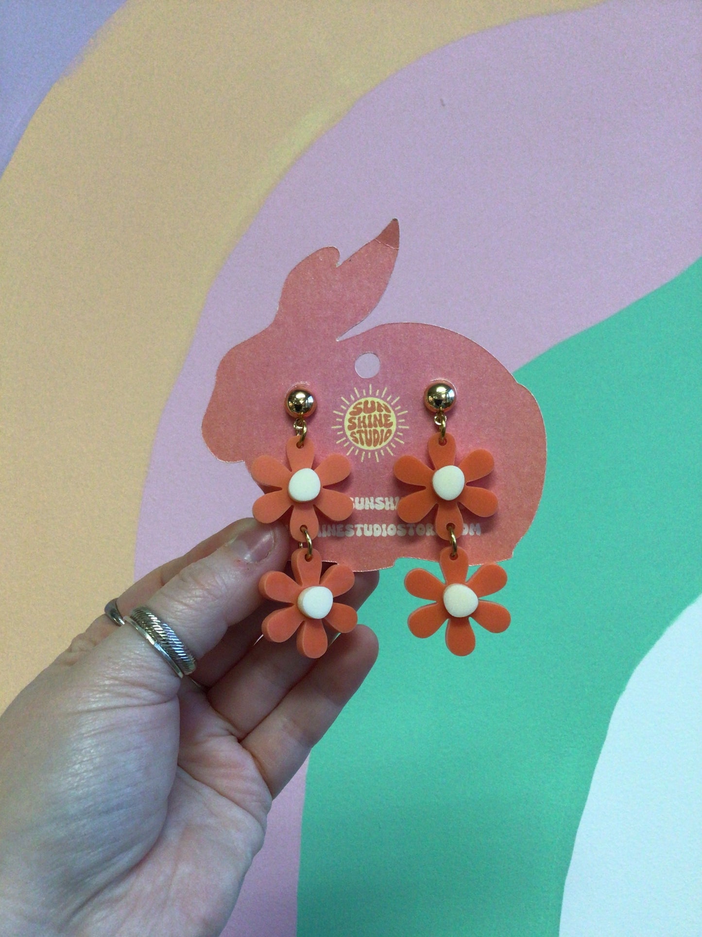 Sunshine Double Spring Flowers