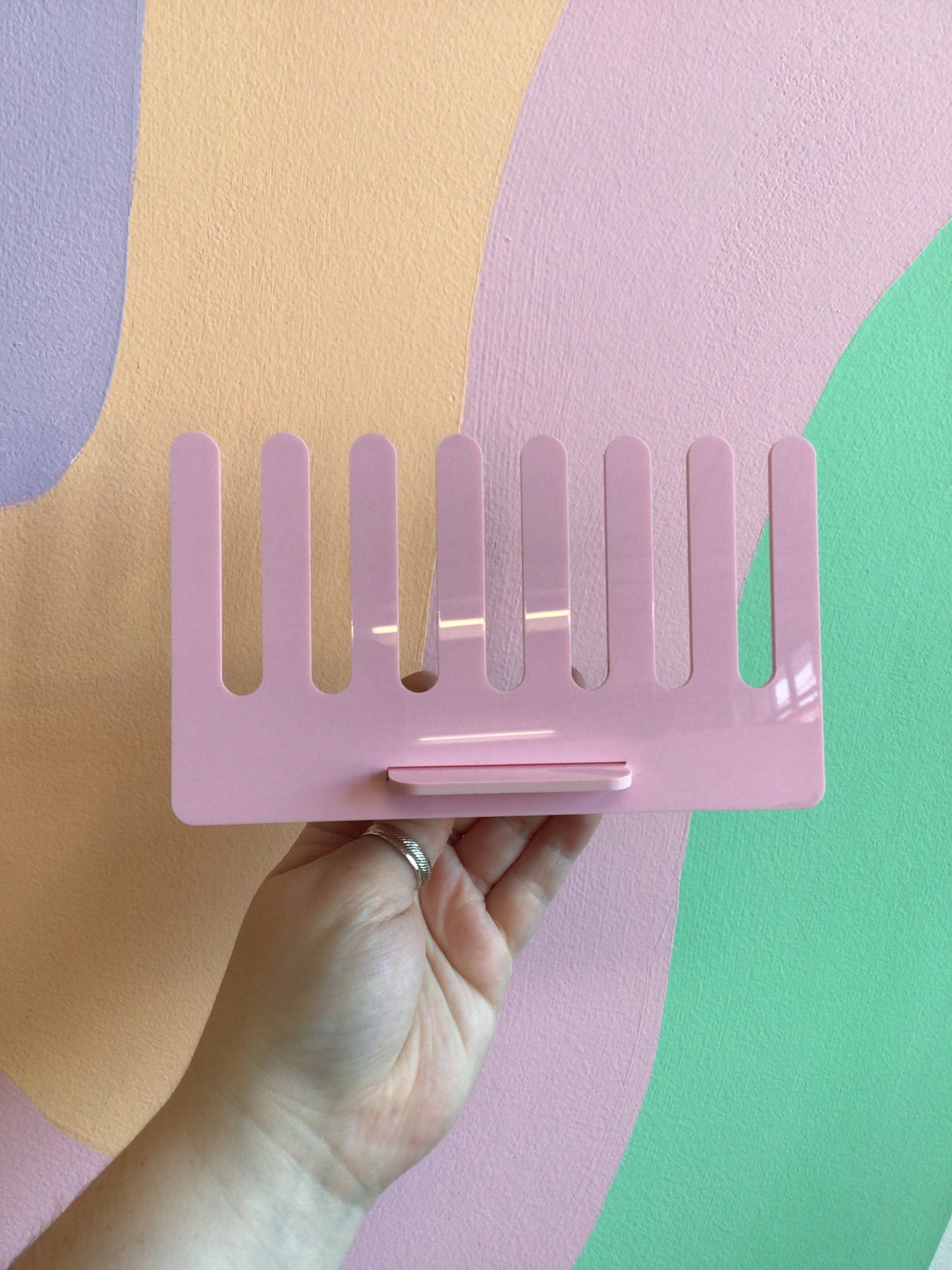 Pale Pink Ring Display
