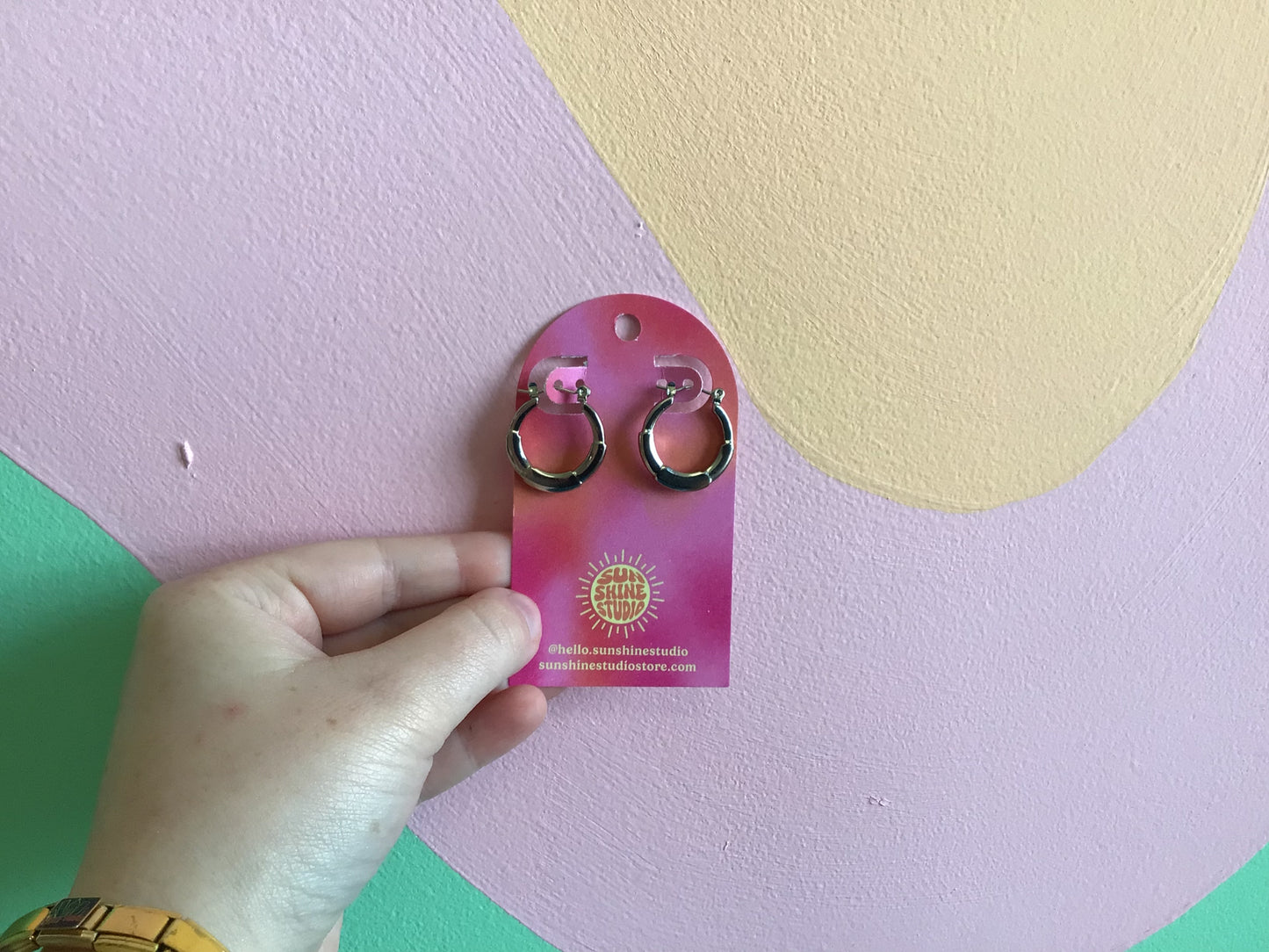 Today’s Special Stainless Steel Hoop Earrings
