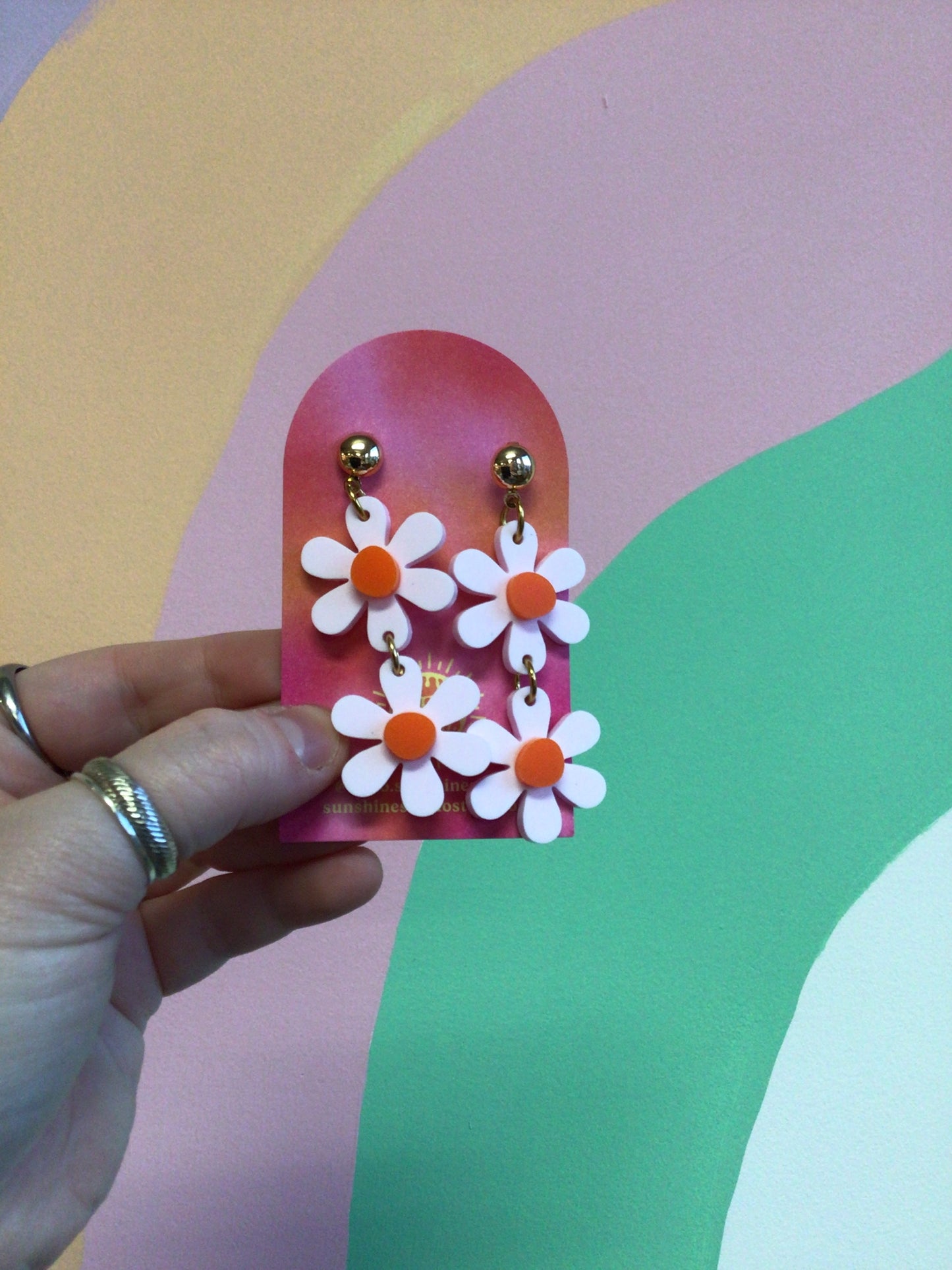 Sunshine Double Spring Flowers