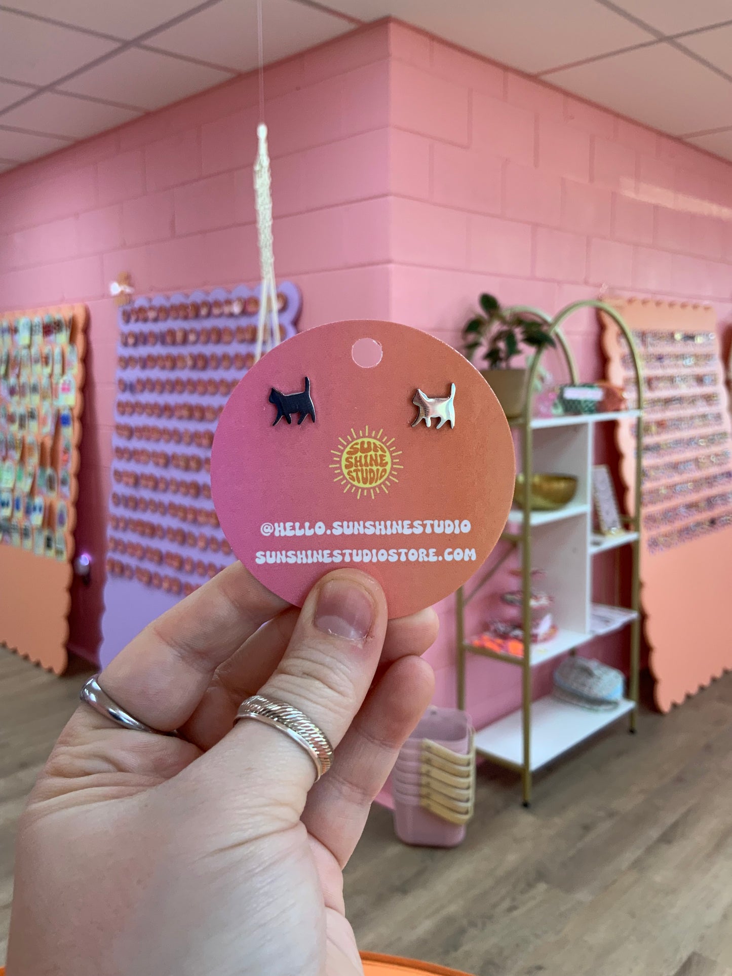 Tiny Cat On The Move