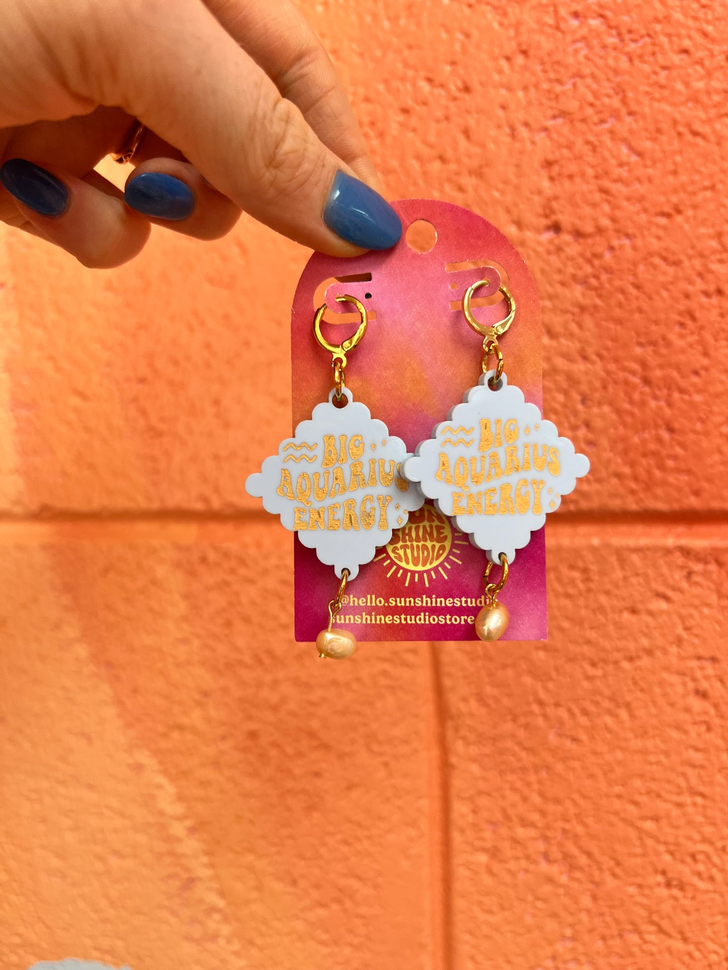 Sample Sale Zodiac Earrings