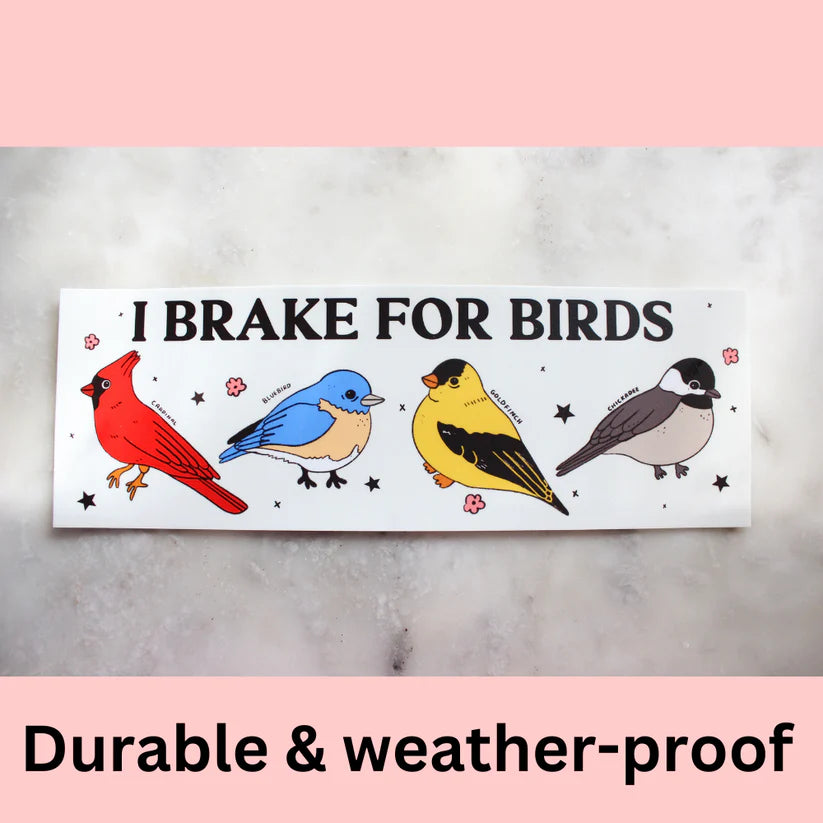 "I Brake For Birds" Bumper Sticker