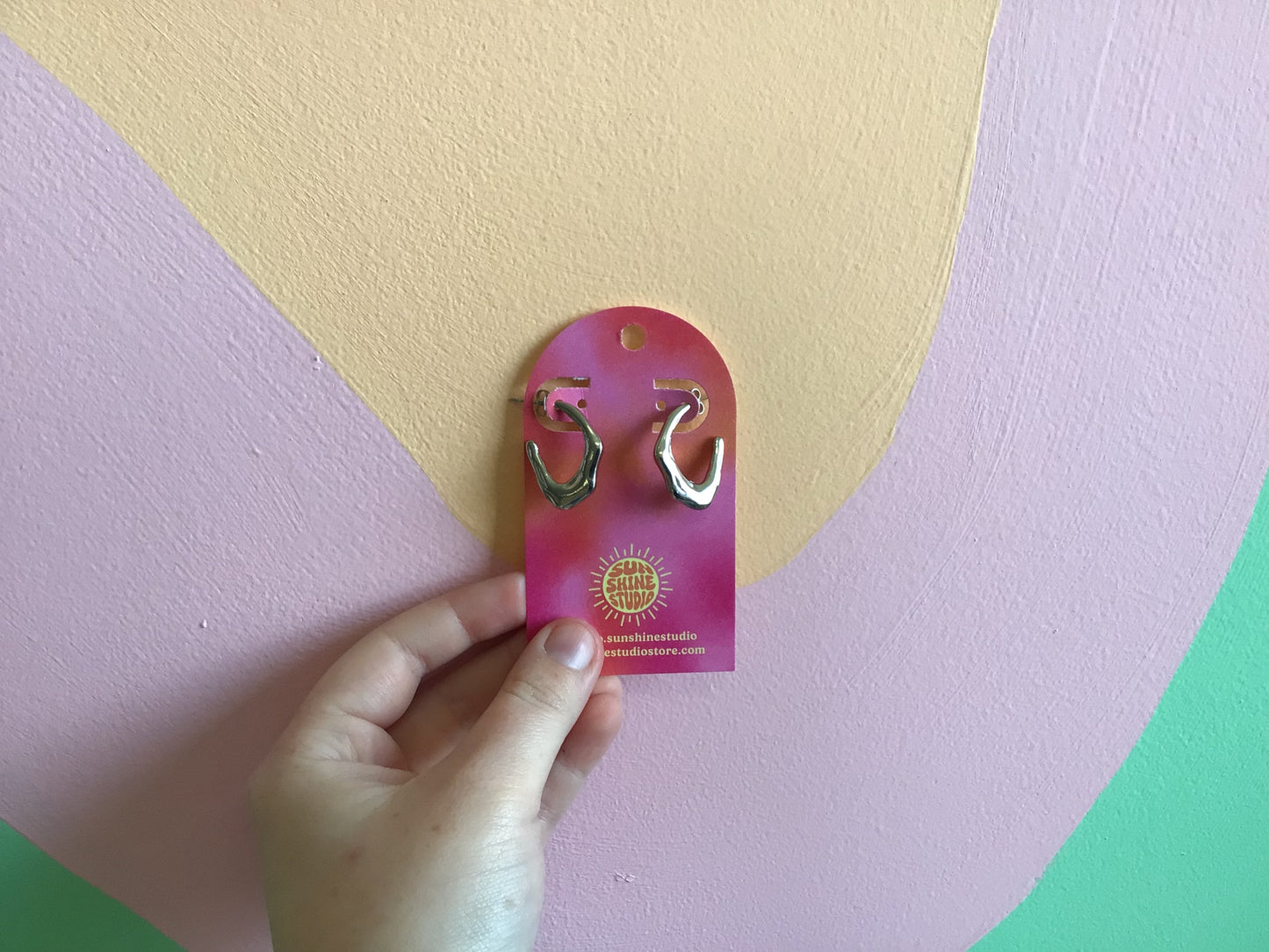 Today’s Special Stainless Steel Hoop Earrings