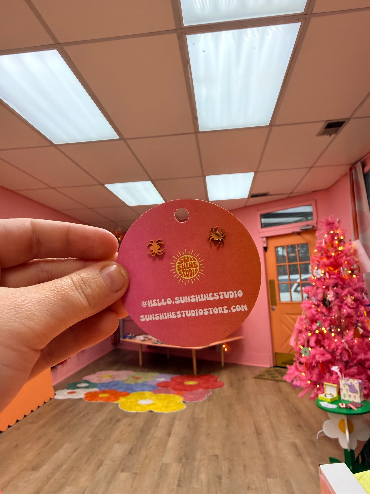 Tiny Curly Legged Spider