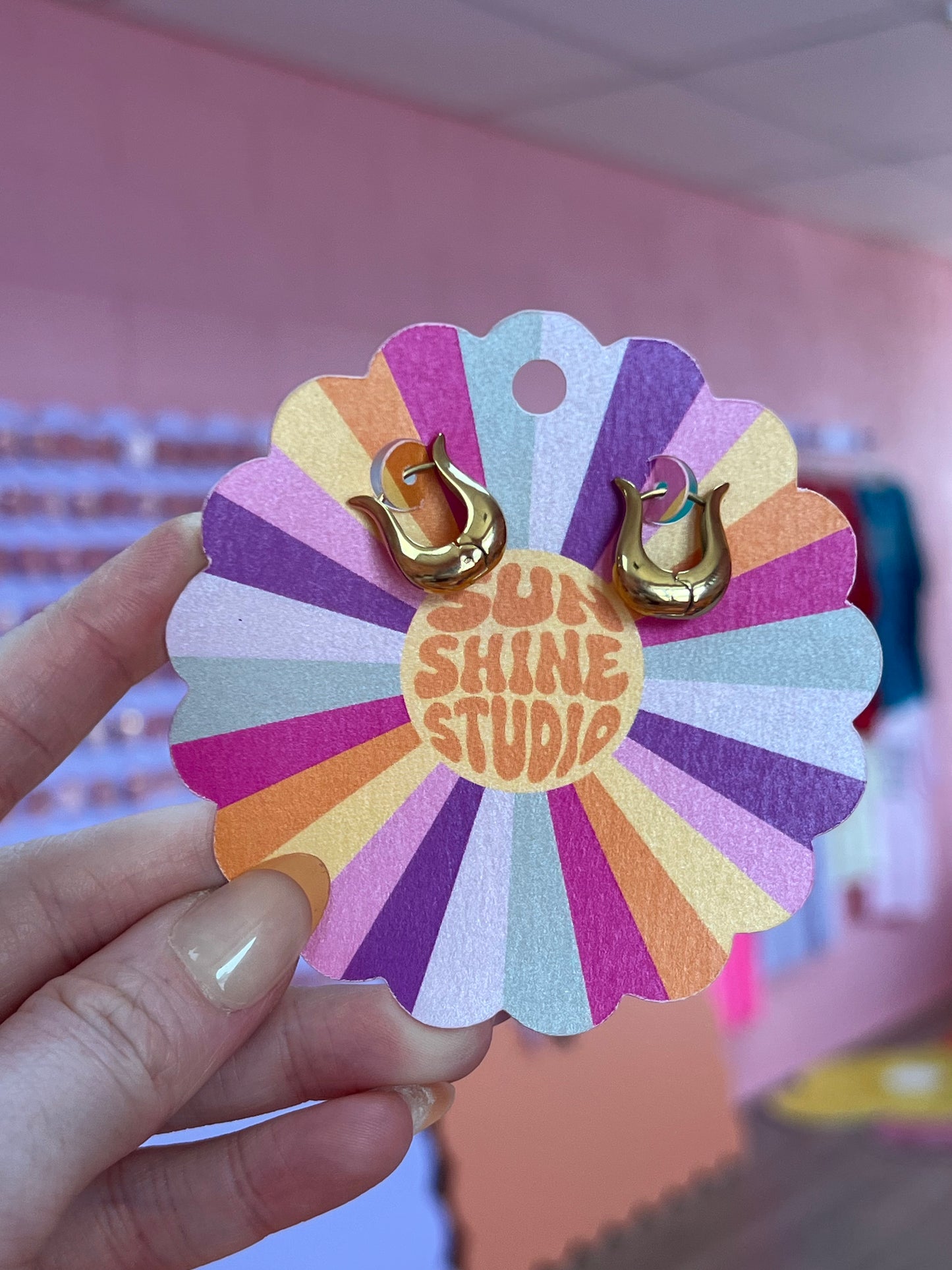 Titanium Treasure Hoops