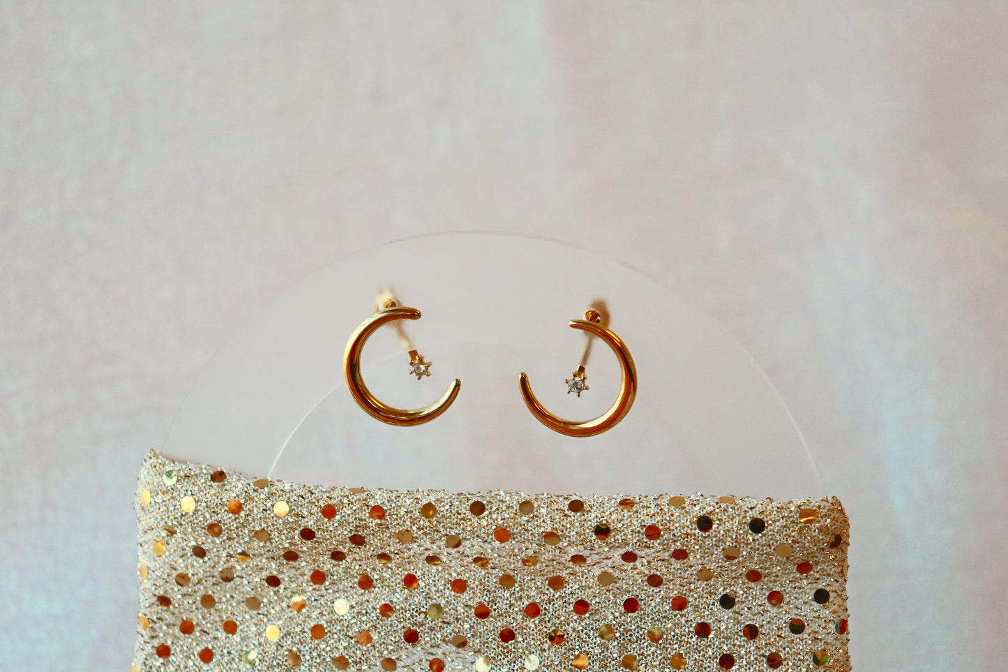 Titanium New Years Wish Earring