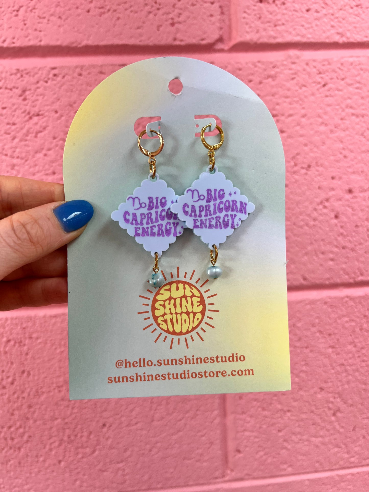 Sample Sale Zodiac Earrings
