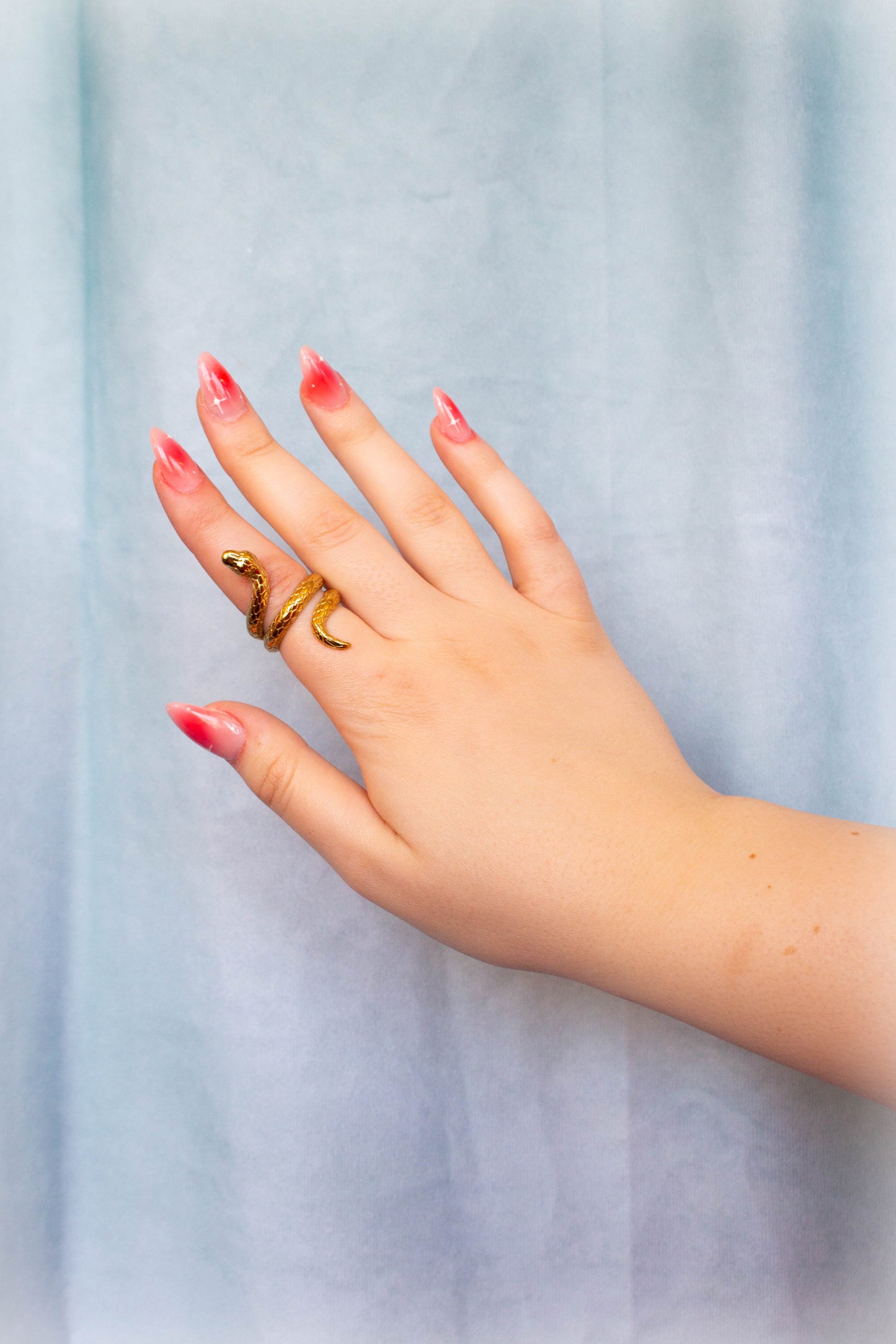 Titanium Snake Ring