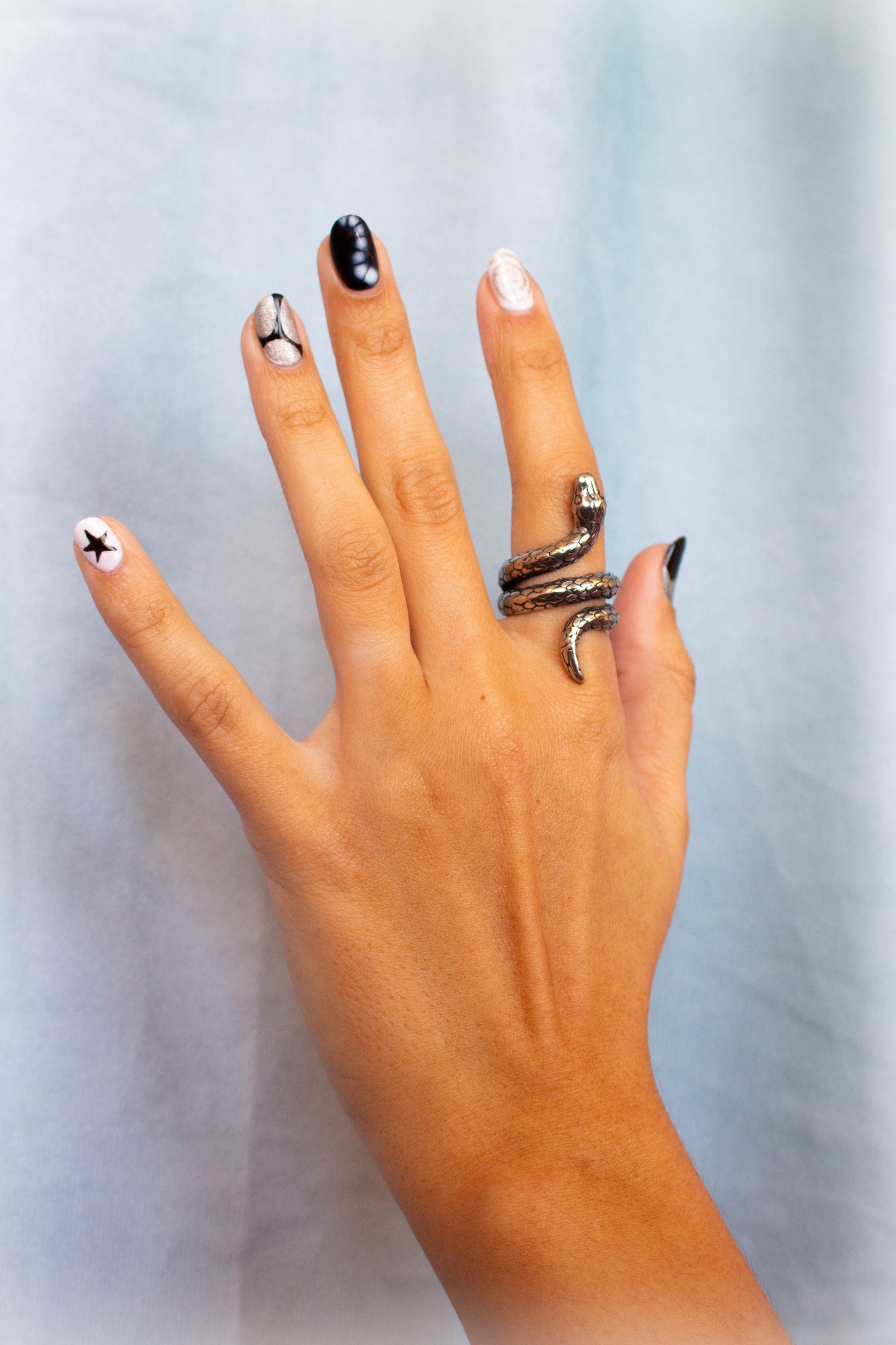 Titanium Snake Ring