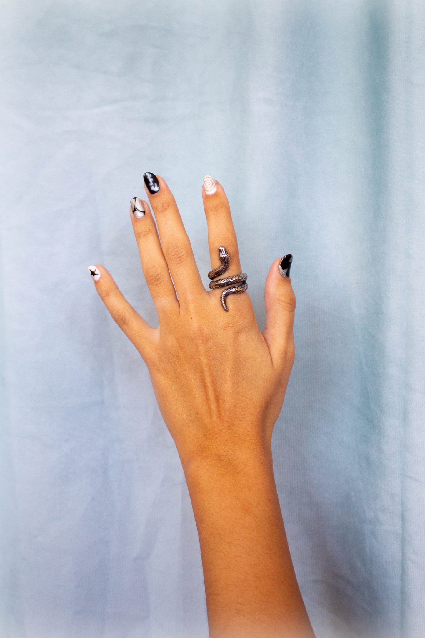 Titanium Snake Ring