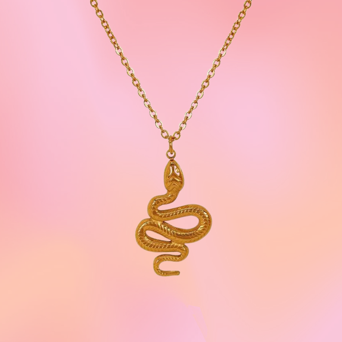 Snake Charm Titanium Necklace