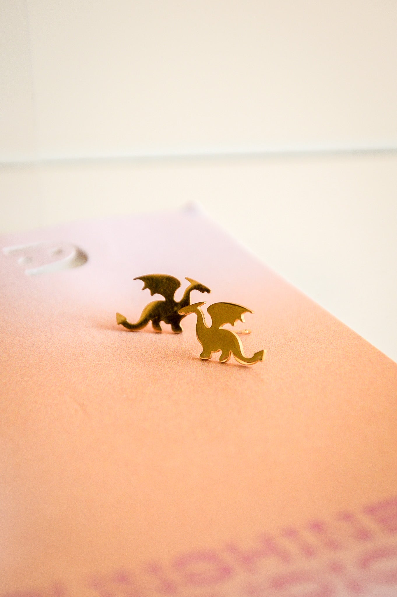 Fighting Dragons With You