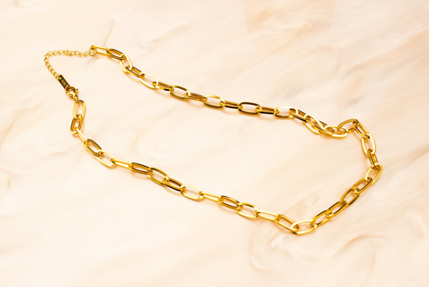 Chain Link Titanium Necklace