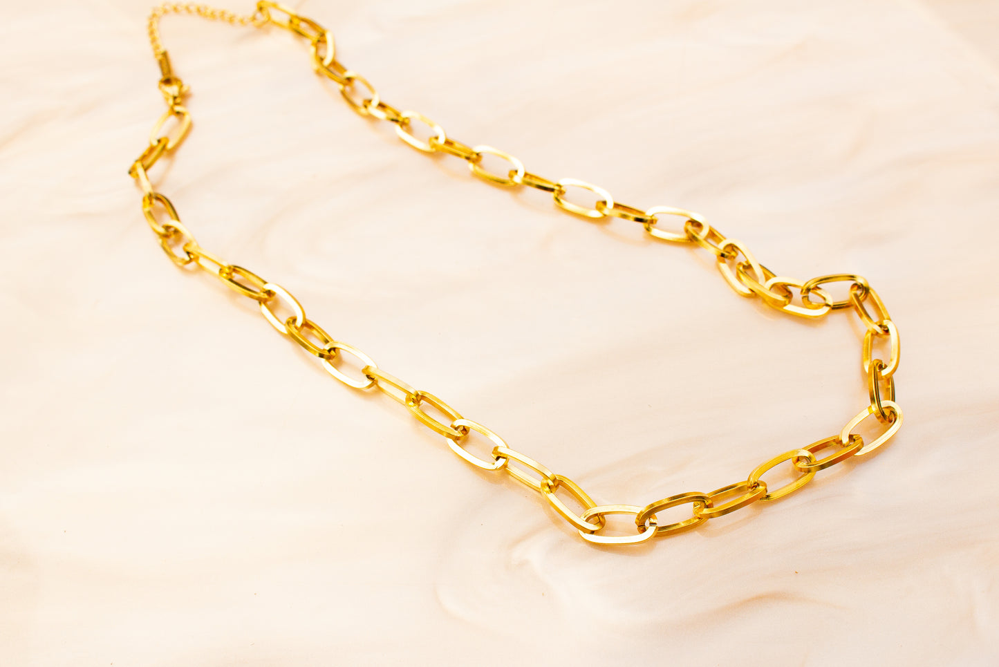 Chain Link Titanium Necklace