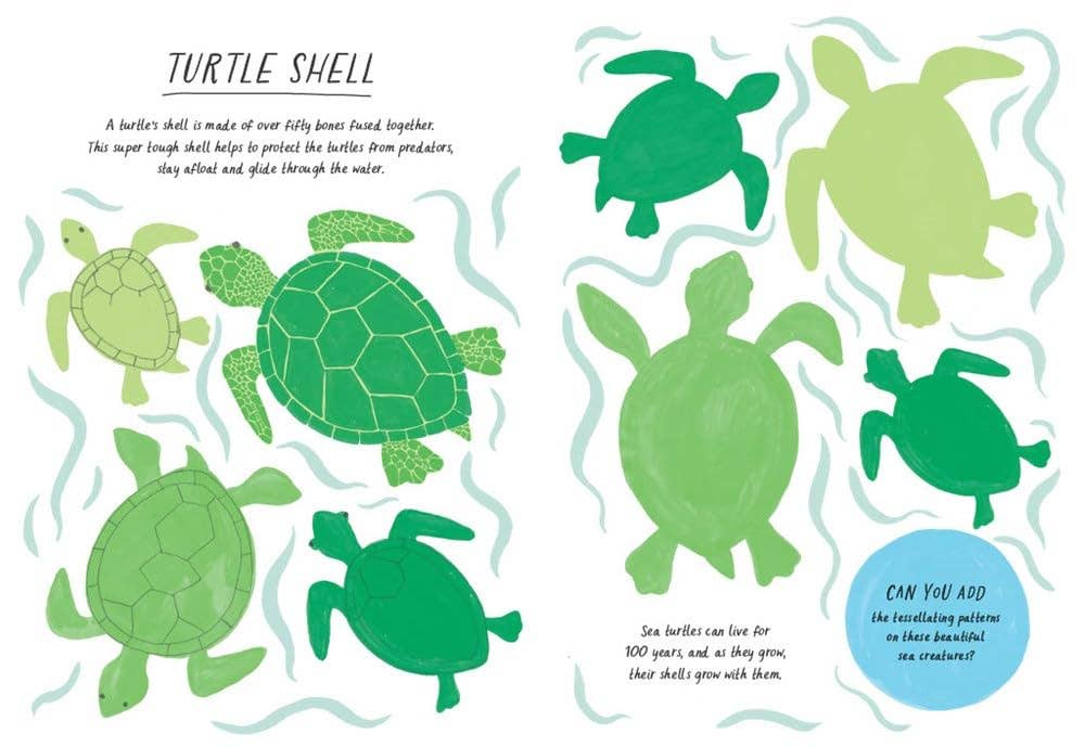 Drawn by Nature: Patterns