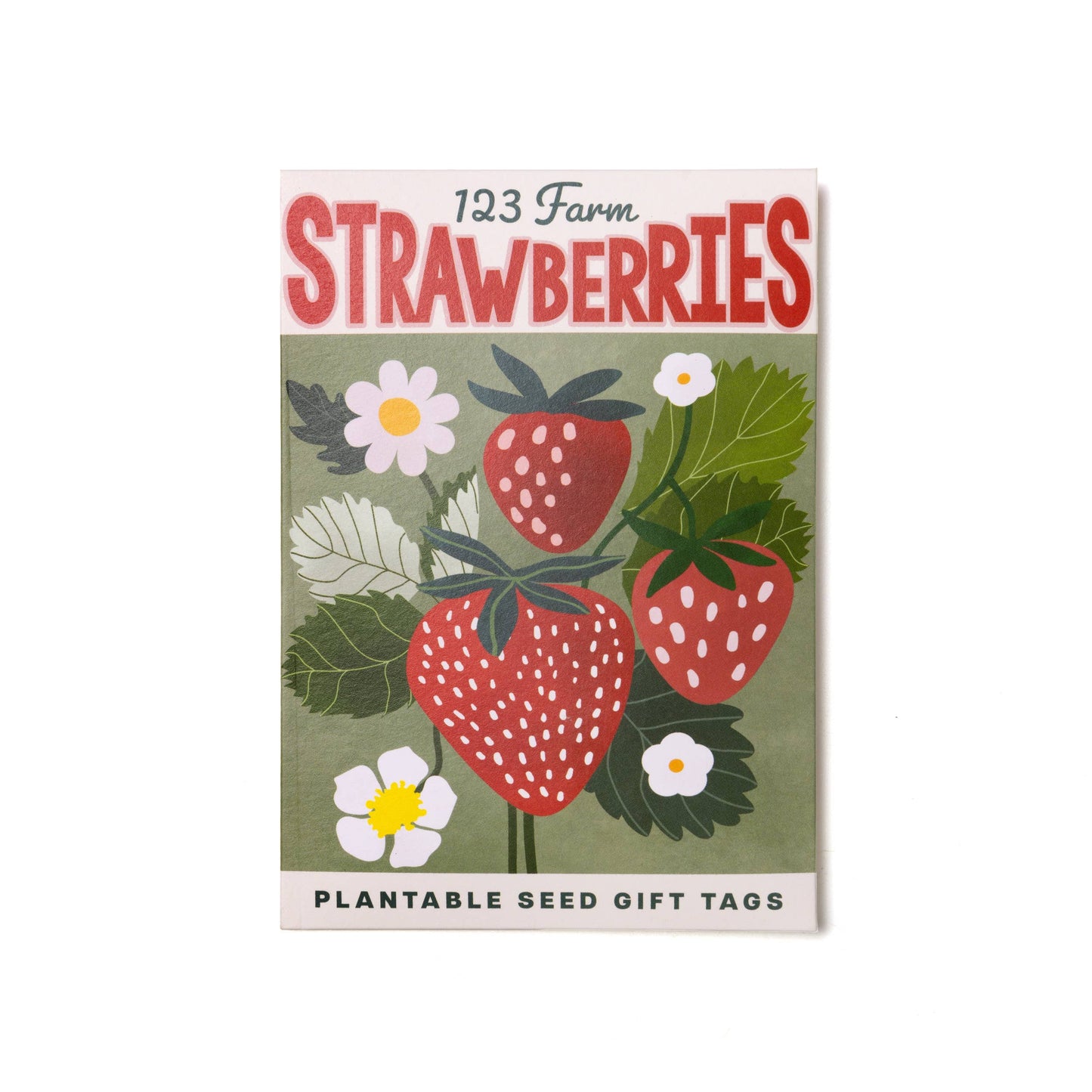 Plantable Seed Gift Tags - Vintage Seed Design, 5 Gift Tags: Carrots