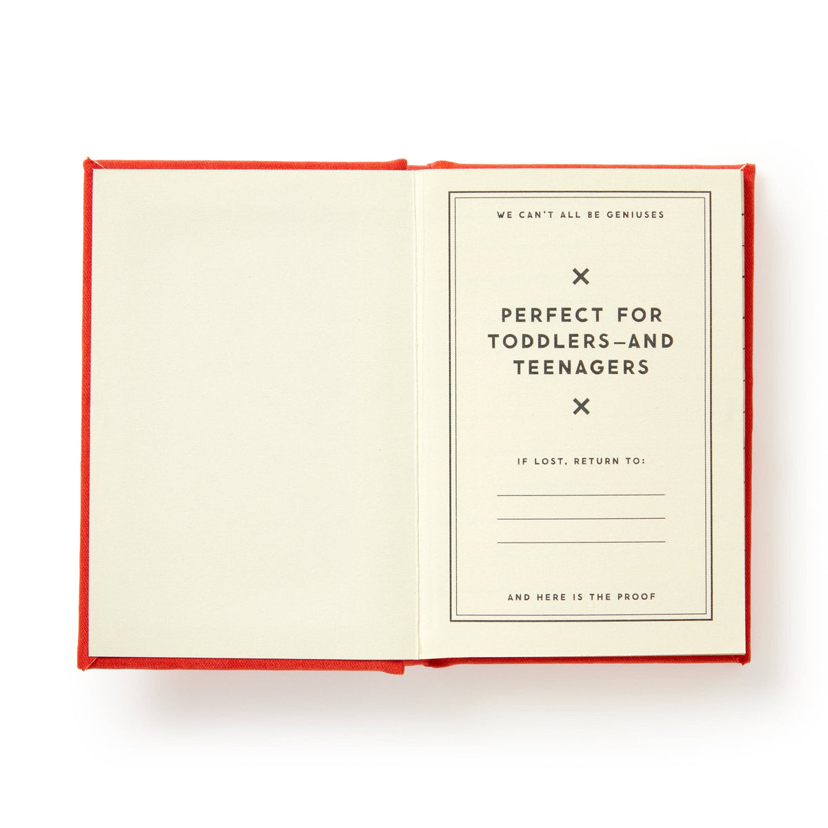 Brass Monkey Dumb Things My Kid Said Tiny Diary