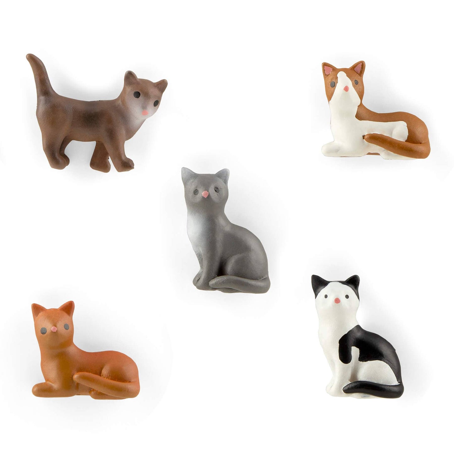Colorful cat magnets