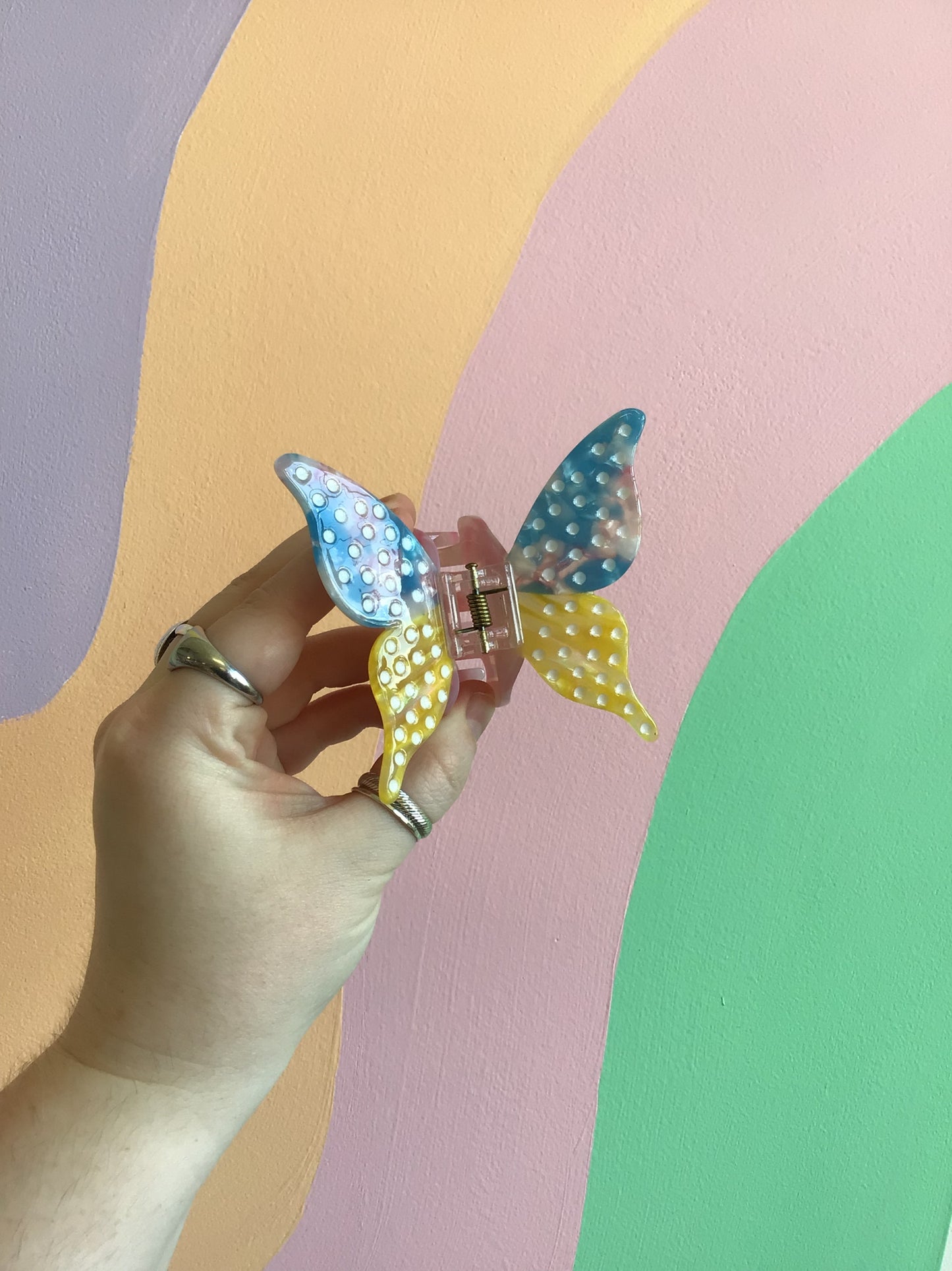 Pan Pride Butterflies