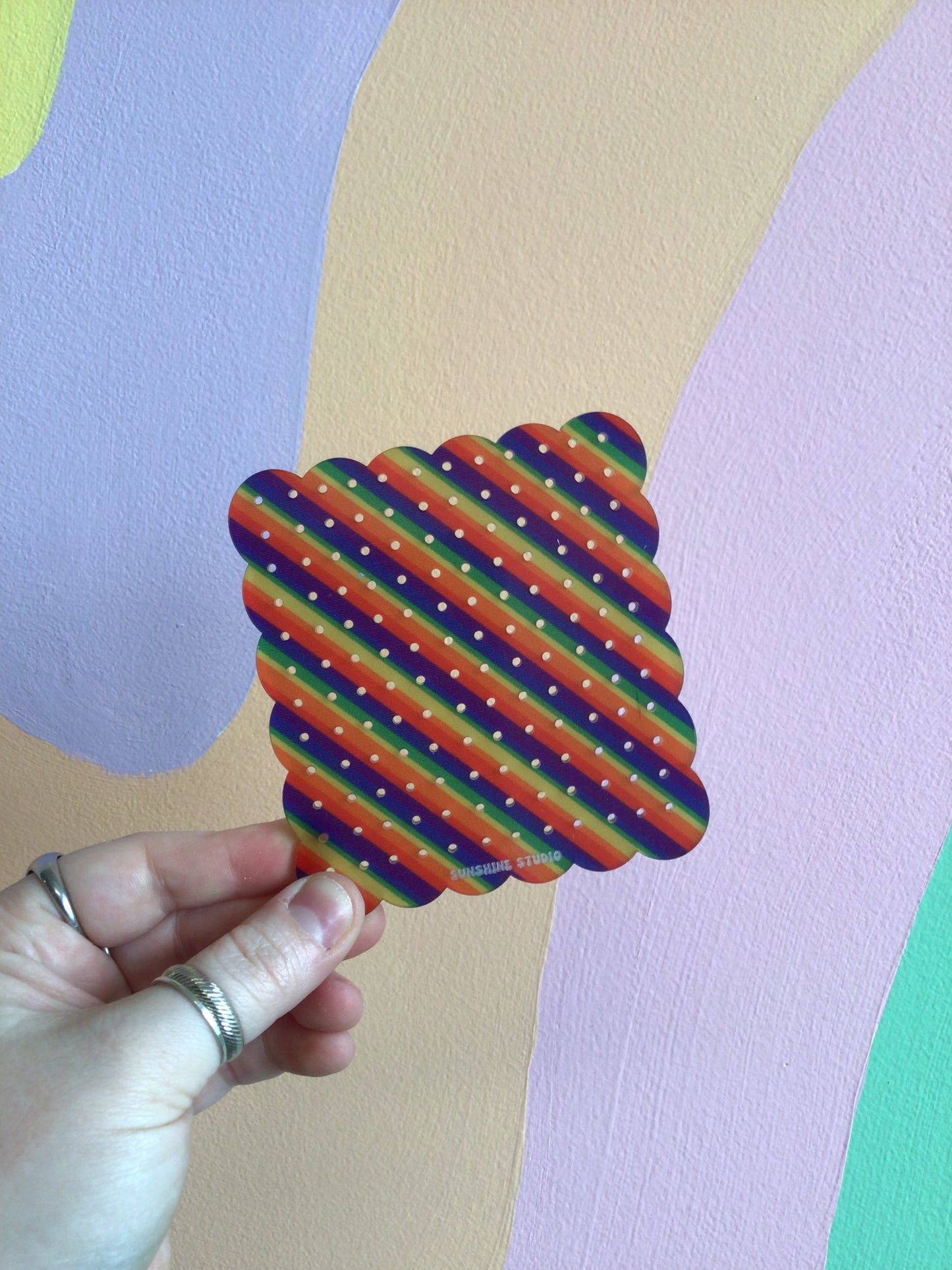 Rainbow Stripe Travel Earring Holder
