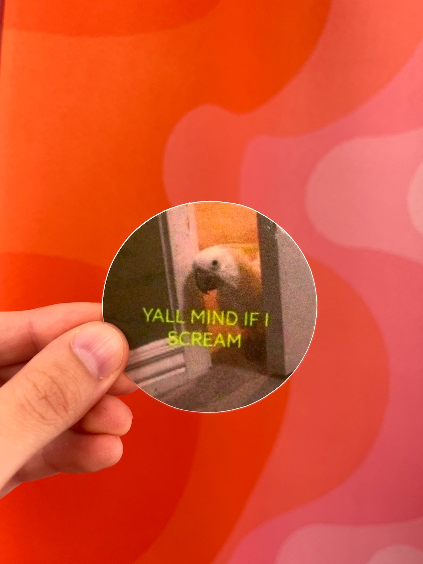 Y’all Mind if I Scream Sticker