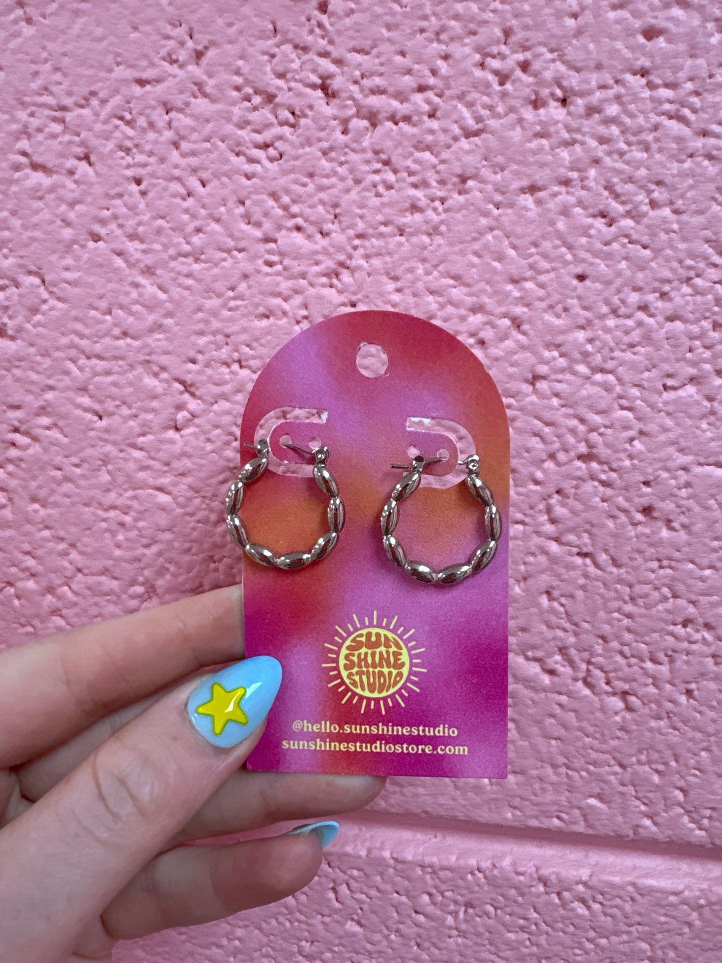 Today’s Special Stainless Steel Hoop Earrings