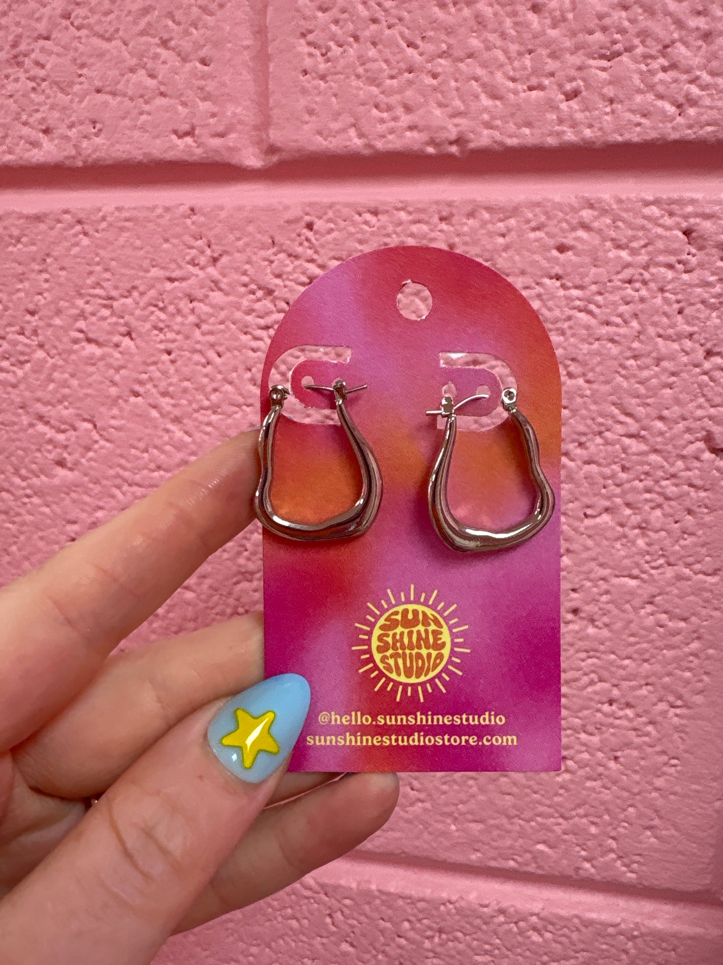 Today’s Special Stainless Steel Hoop Earrings