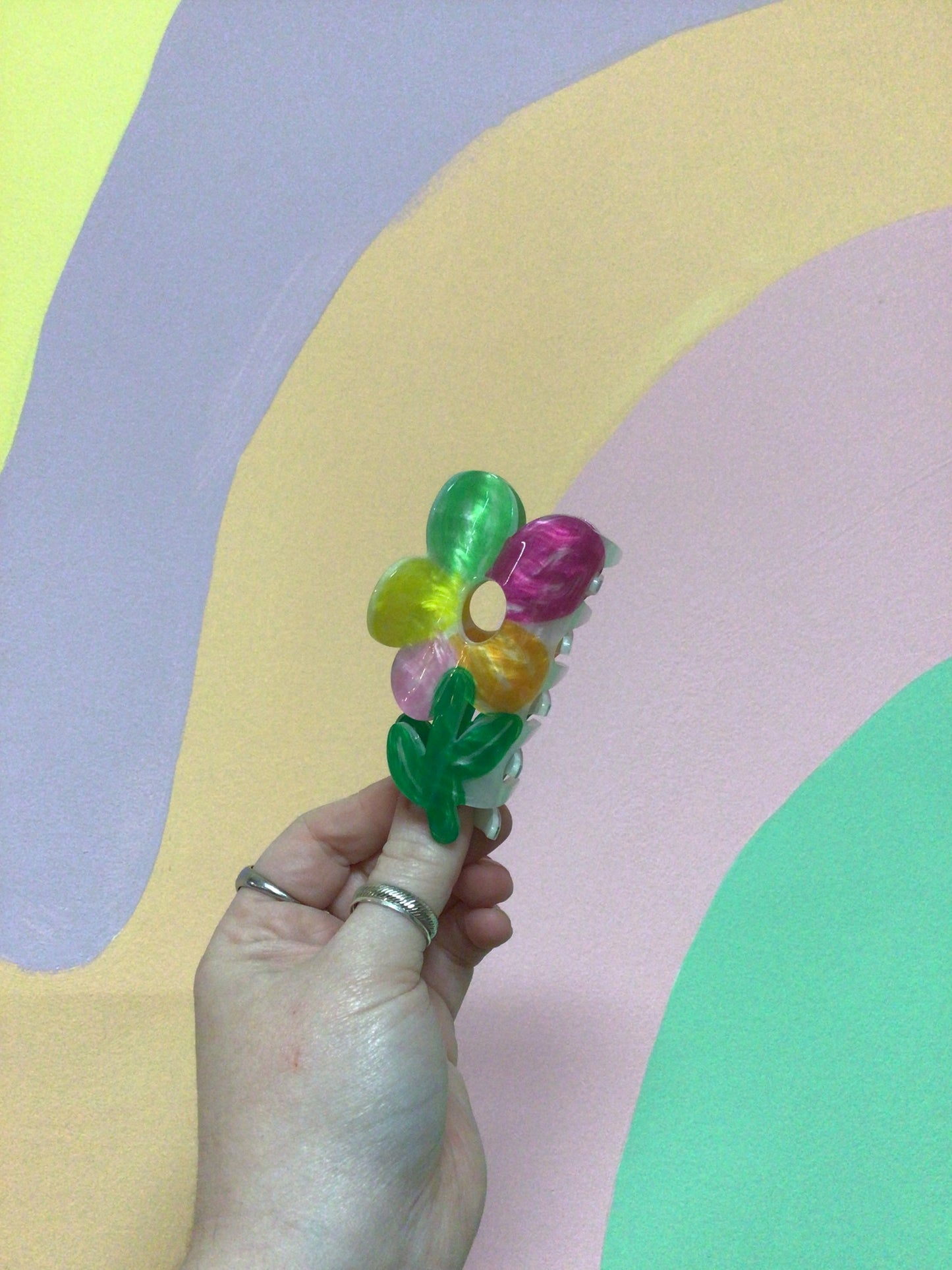 Silly Assorted Hair Claws