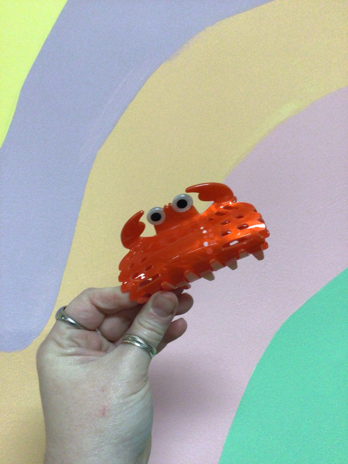 Silly Assorted Hair Claws