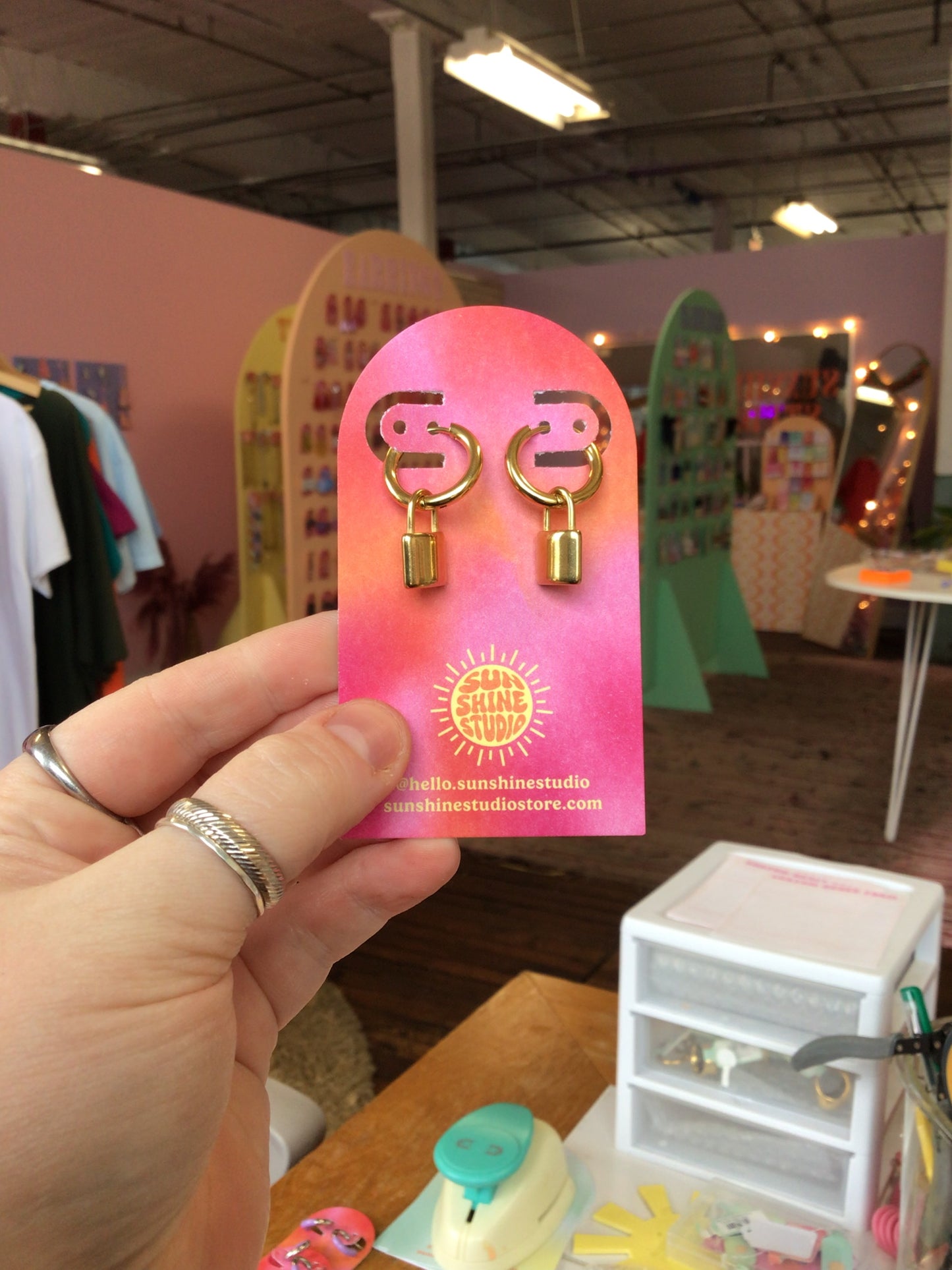 Stainless Steel Padlock Hoops