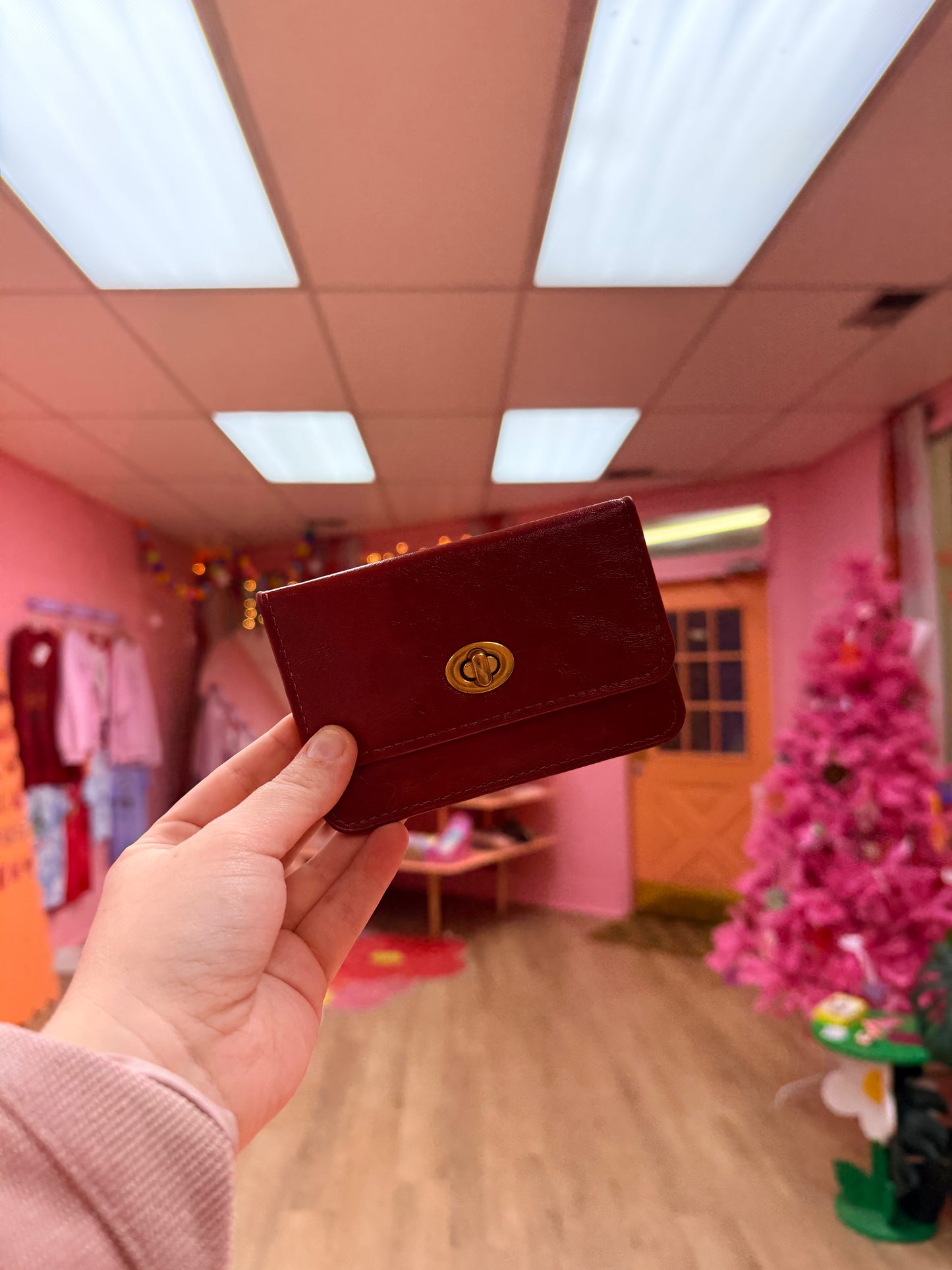 Classy Clasp Wallet