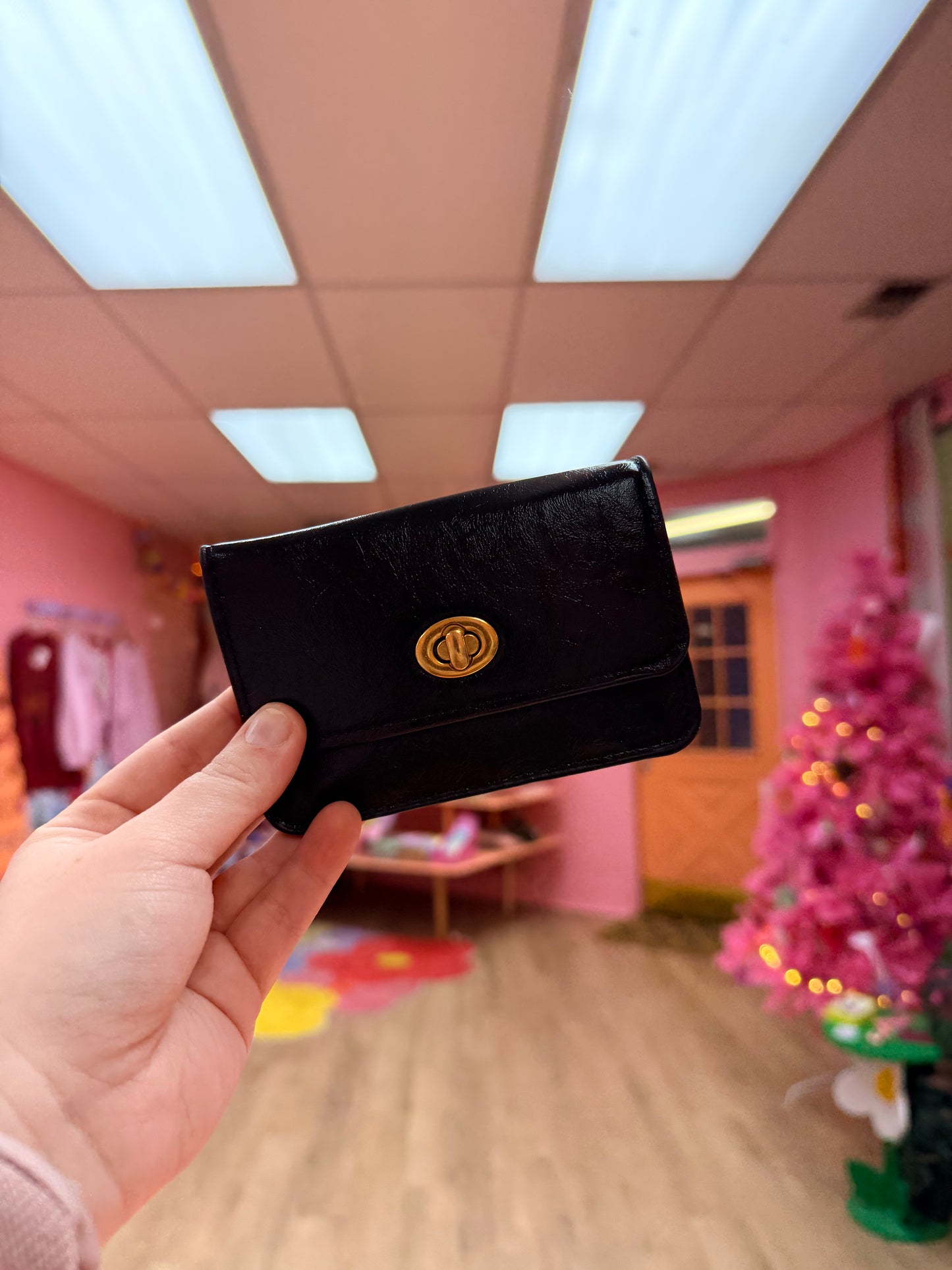 Classy Clasp Wallet