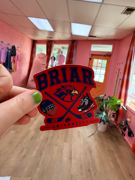 “Briar” Heated Rivalry Team Sticker