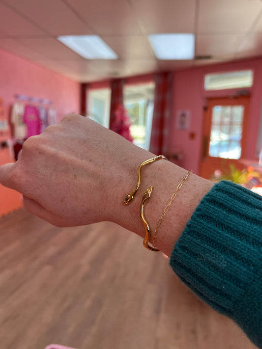 Snake Titanium Bracelet