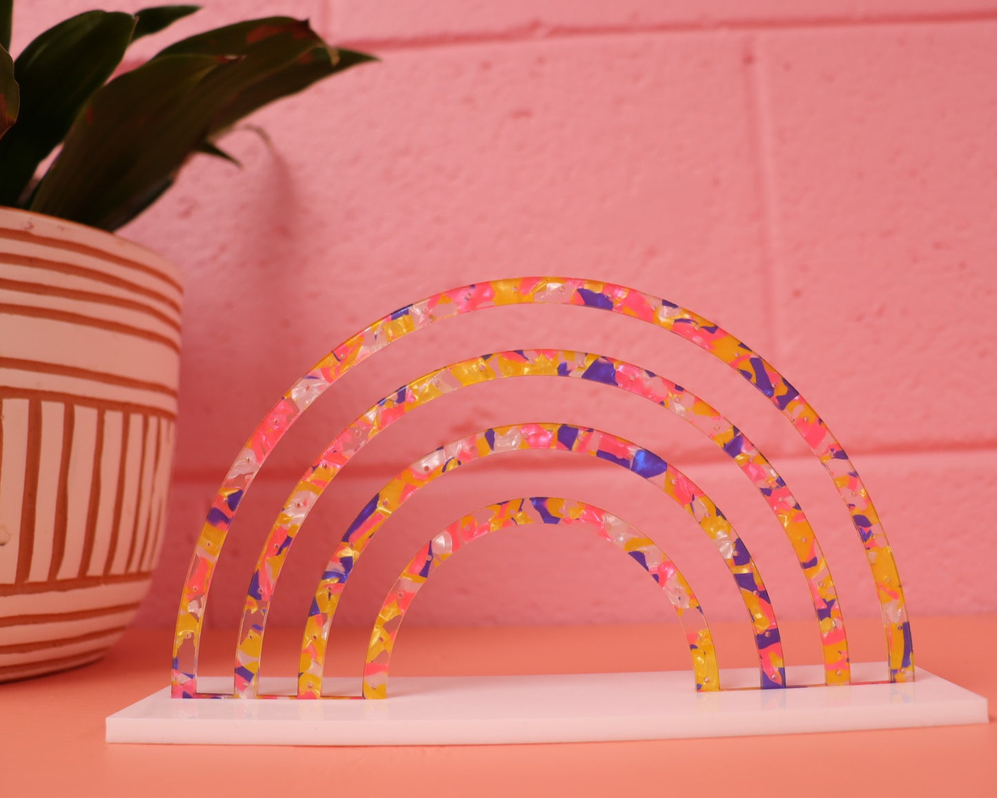 Colorful Shell Rainbow Earring Display