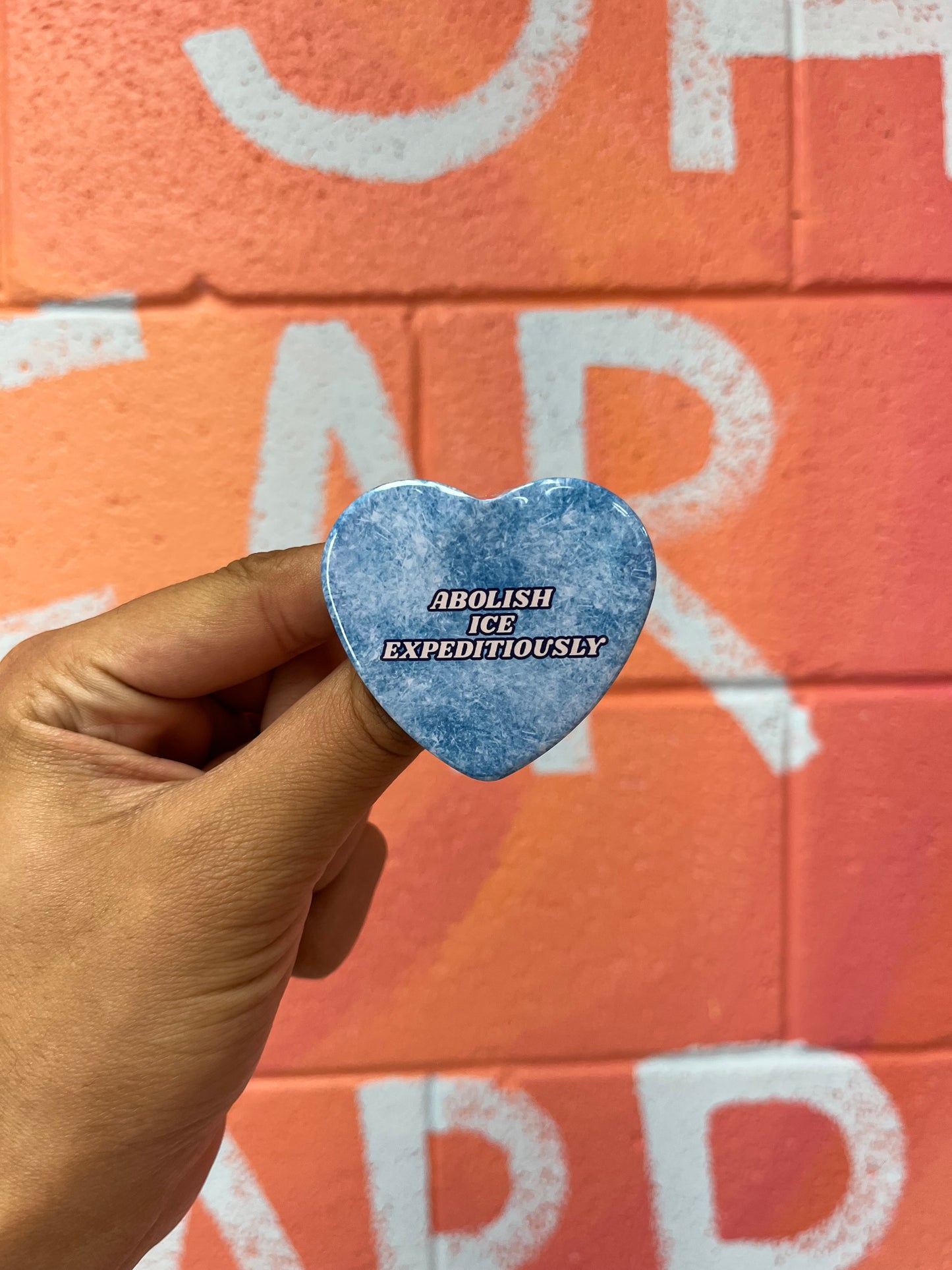 Abolish Ice Expeditiously Pin