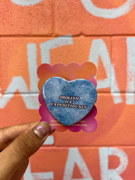 Abolish Ice Expeditiously Pin