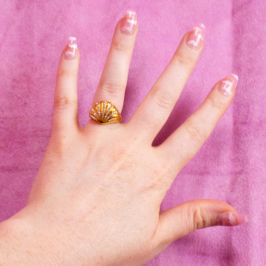 Shining Seashell Titanium Ring