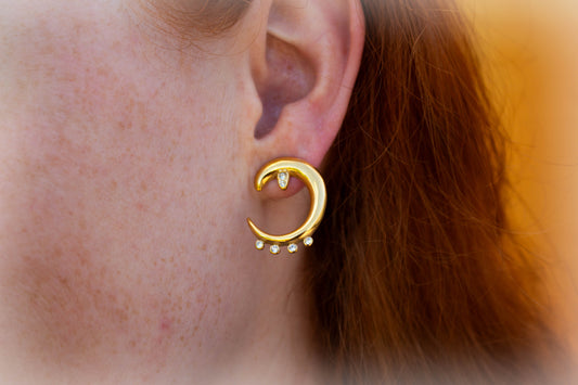 Shimmering Moon Titanium Earrings