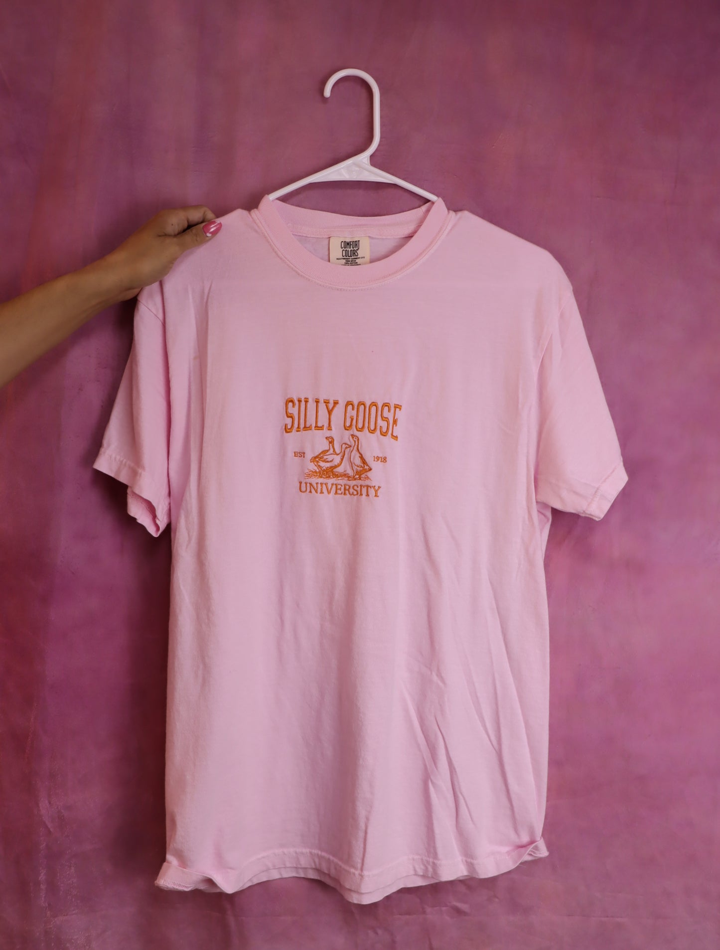 “Silly Goose University” Embroidered Shirt